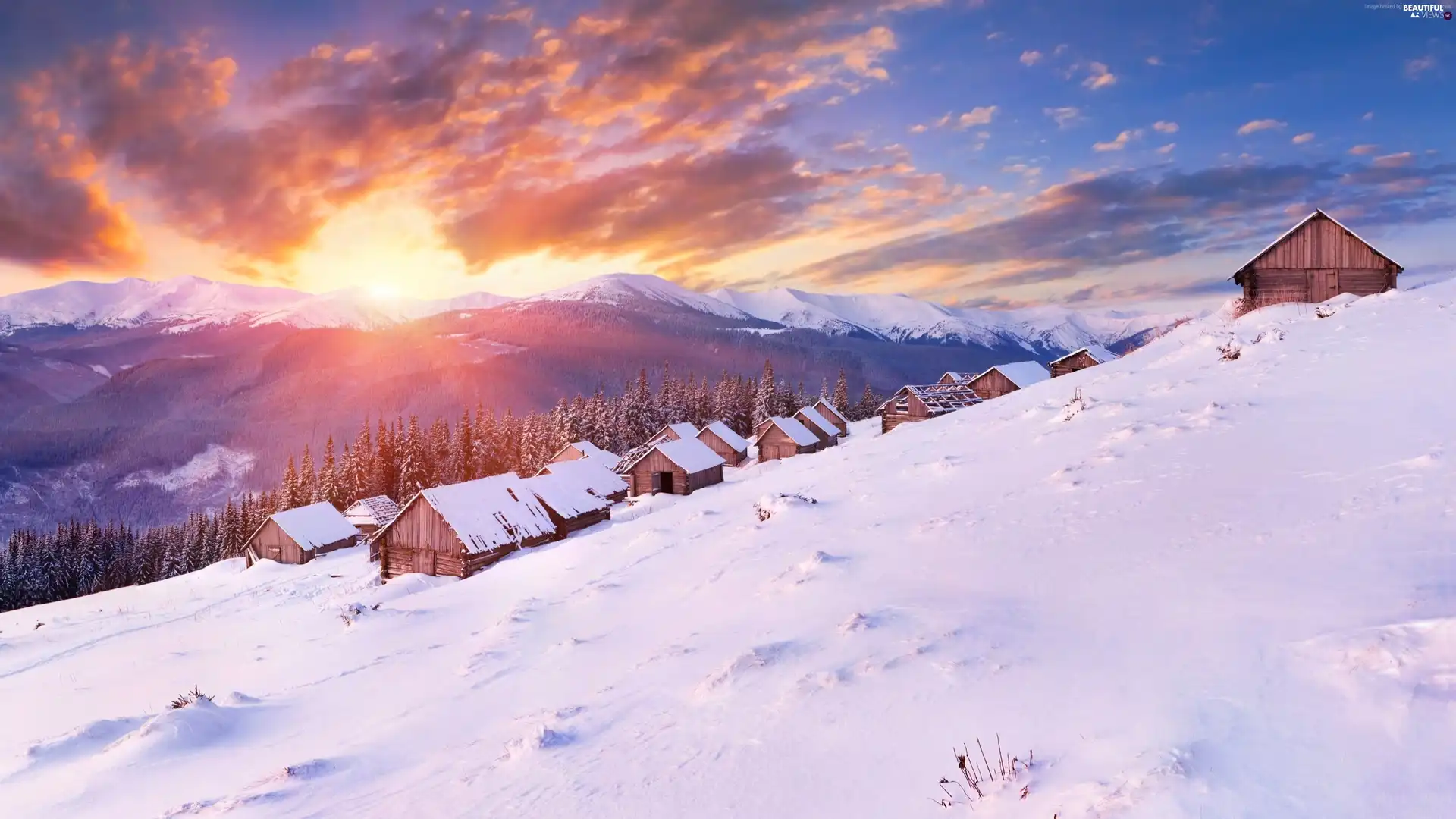 Mountains, west, Houses, winter, forest, sun