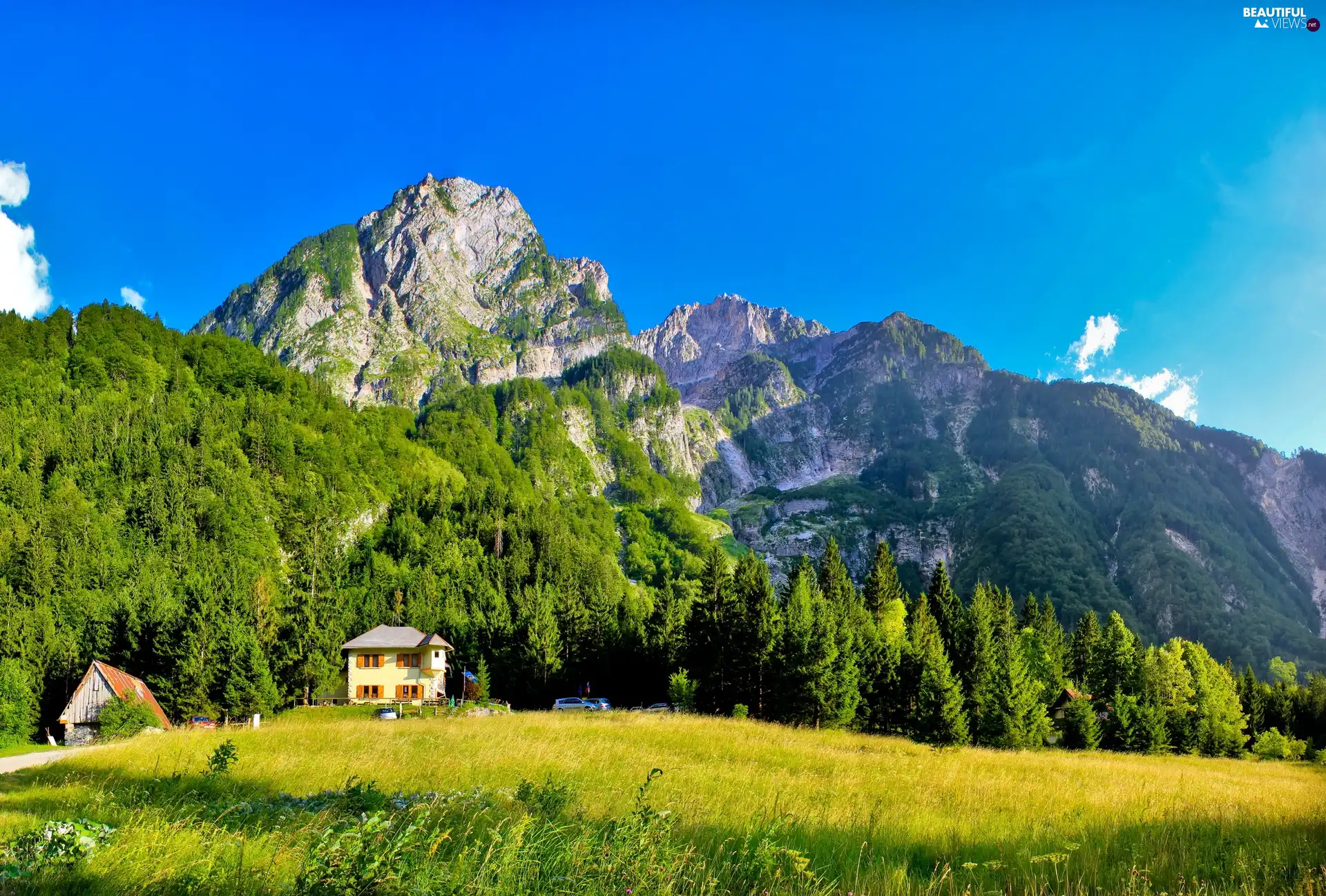 Houses, Mountains, woods