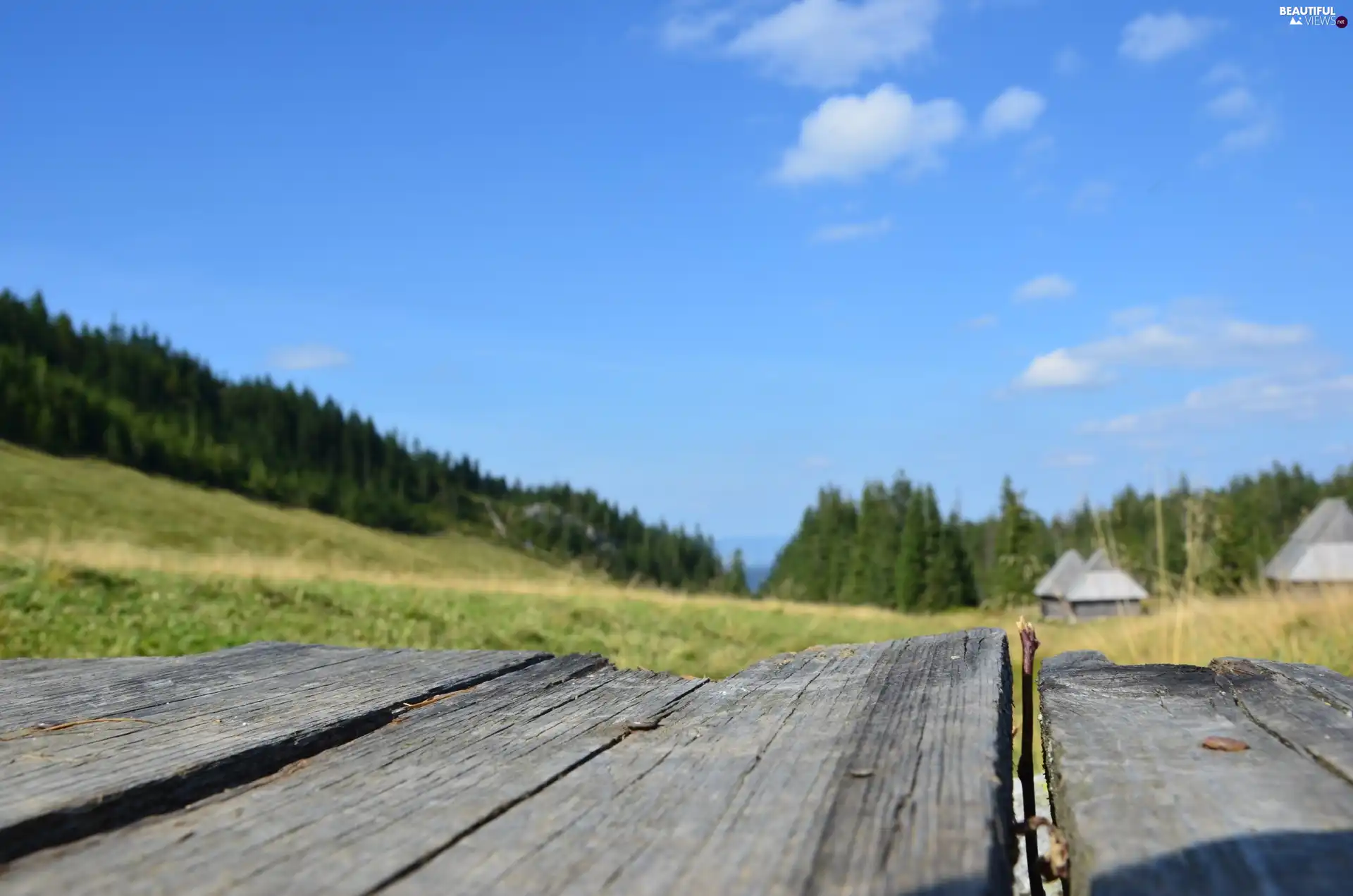 Zakopane, bridges, Houses, Meadow