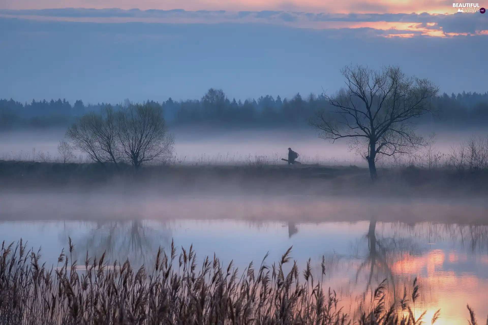 grass, River, viewes, Human, trees, Fog