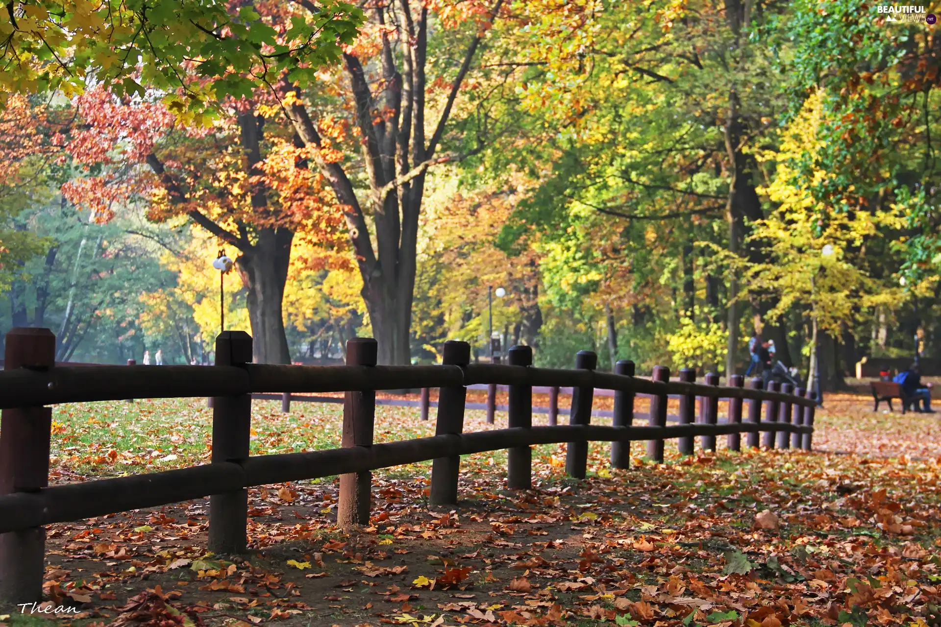 Autumn, wooden, Hurdle, Park