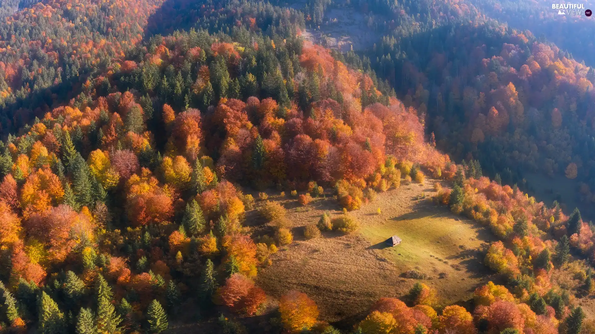trees, viewes, Mountains, house, The Hills, autumn, woods, car in the meadow