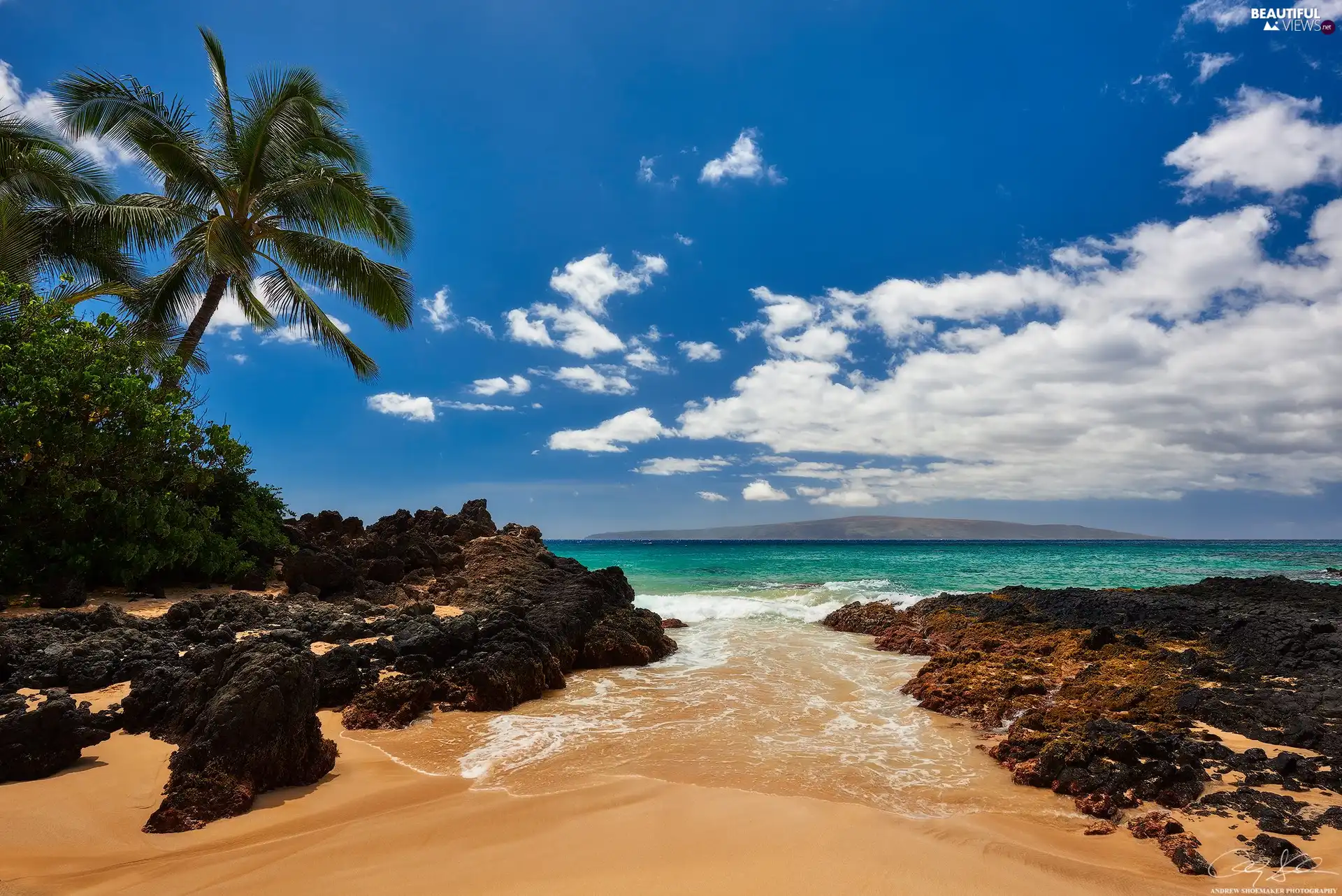 Ocean, Aloha State Hawaje, clouds, rocks, Palms, Maui Island