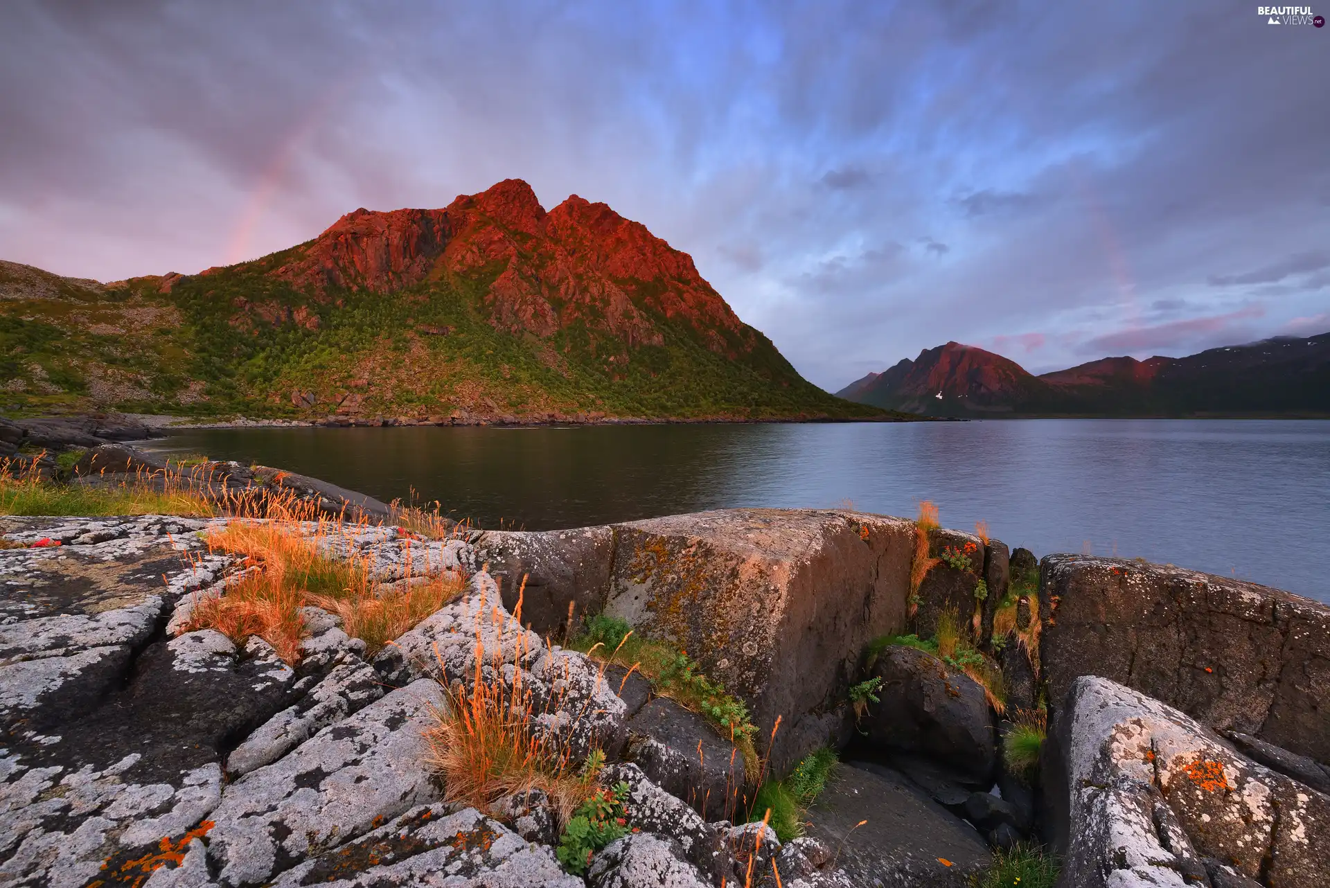 Mountains, sea, Senja Island, Norway, VEGETATION, rocks