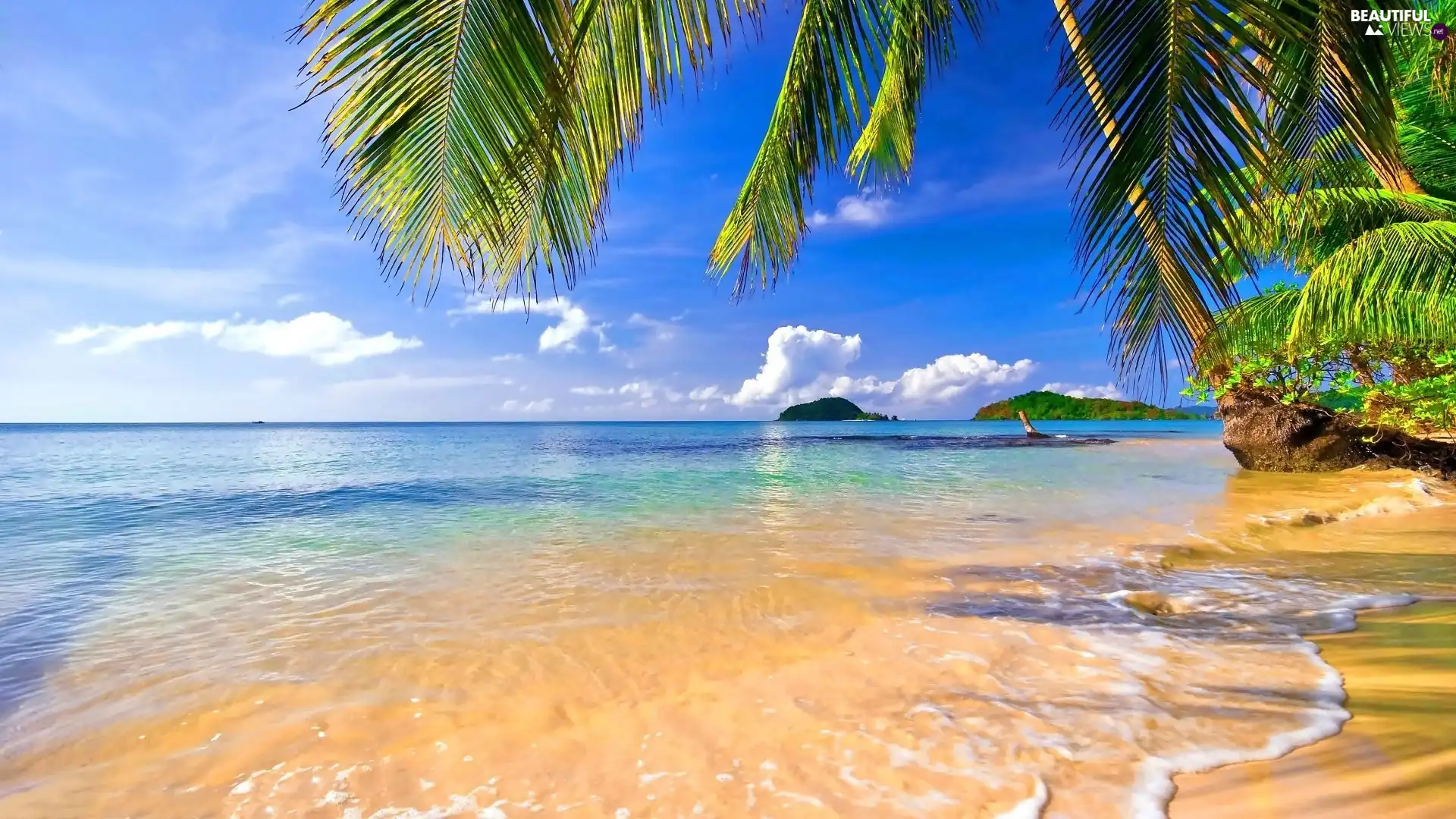 Islands, Tropical, sea, Palms, Beaches - Beautiful views wallpapers