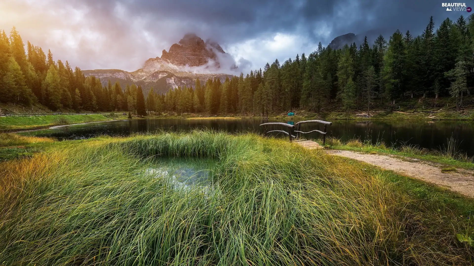 Dolomites Mountains, Antorno Lake, Massif Tre Cime di Lavaredo, Province of Belluno, trees, viewes, grass, bridges, Italy