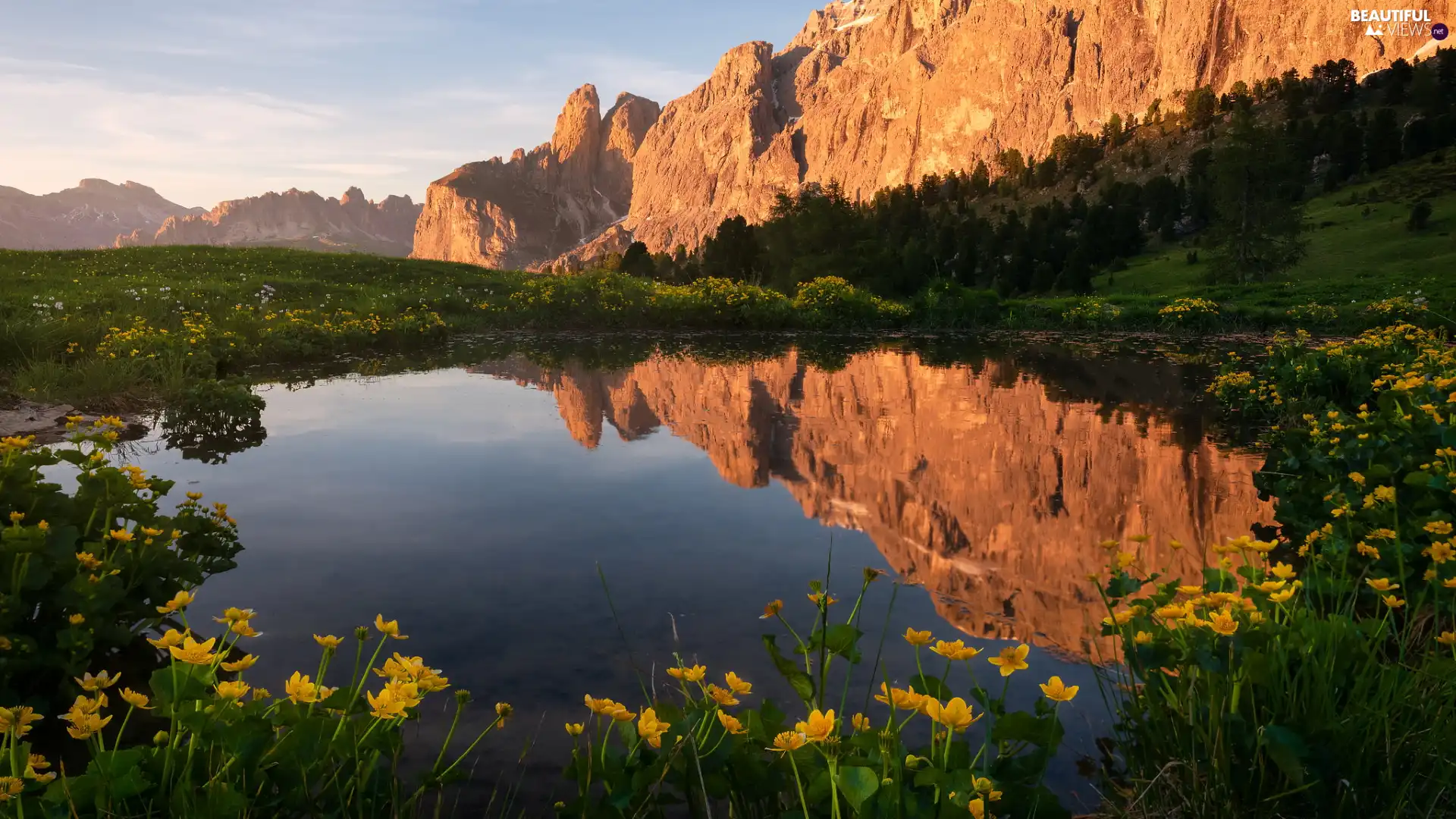 Pond - car, Dolomites, Flowers, reflection, Mountains, Yellow, Italy