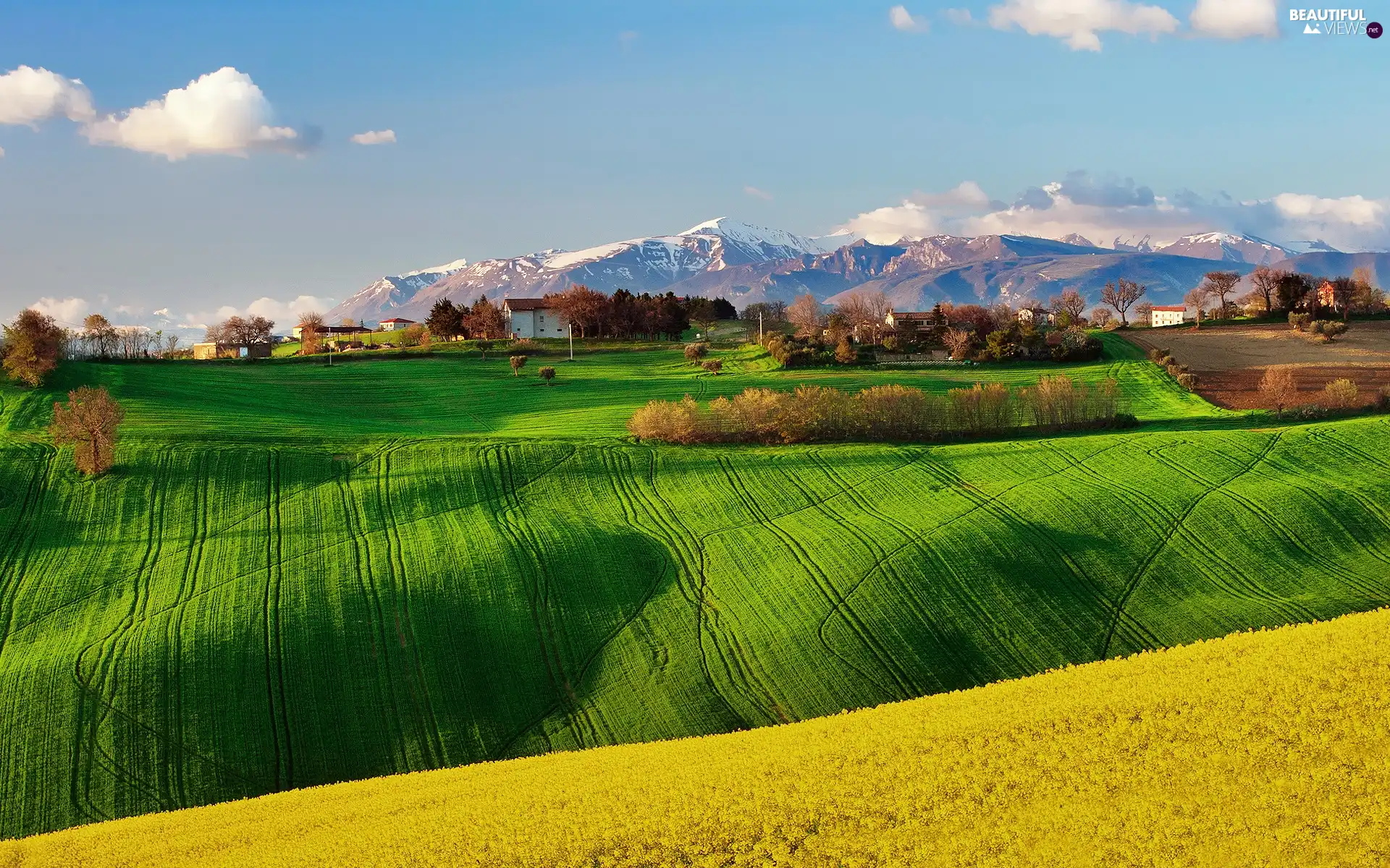 Spring, Mountains, Italy, field