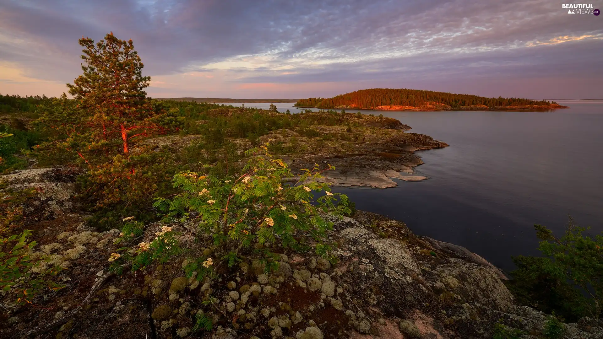 Karelia, Russia, lake, Ladoga, viewes, VEGETATION, rocks, trees, Islet
