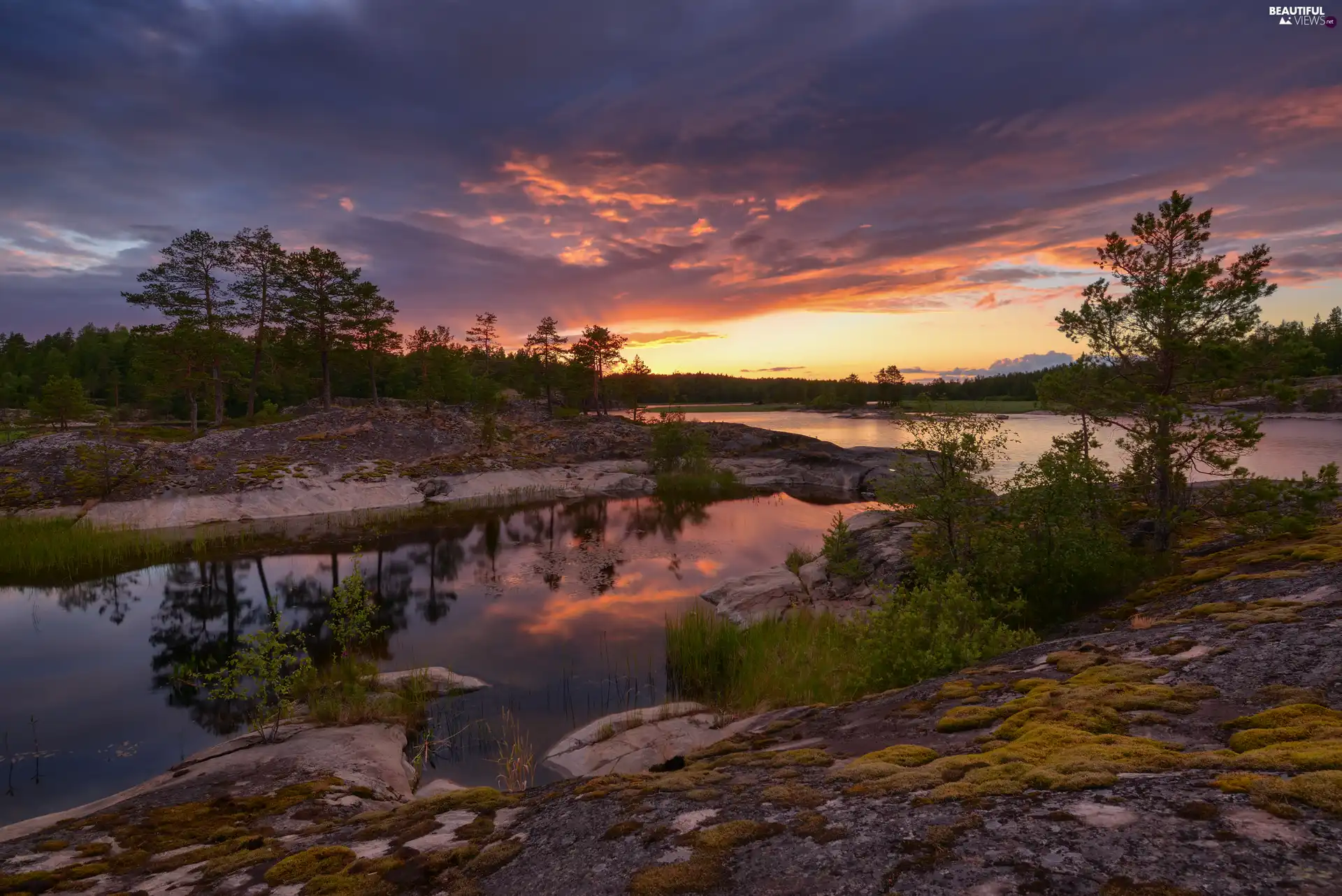Karelia, Russia, Ladoga, lake, viewes, reflection, Great Sunsets, trees, rocks
