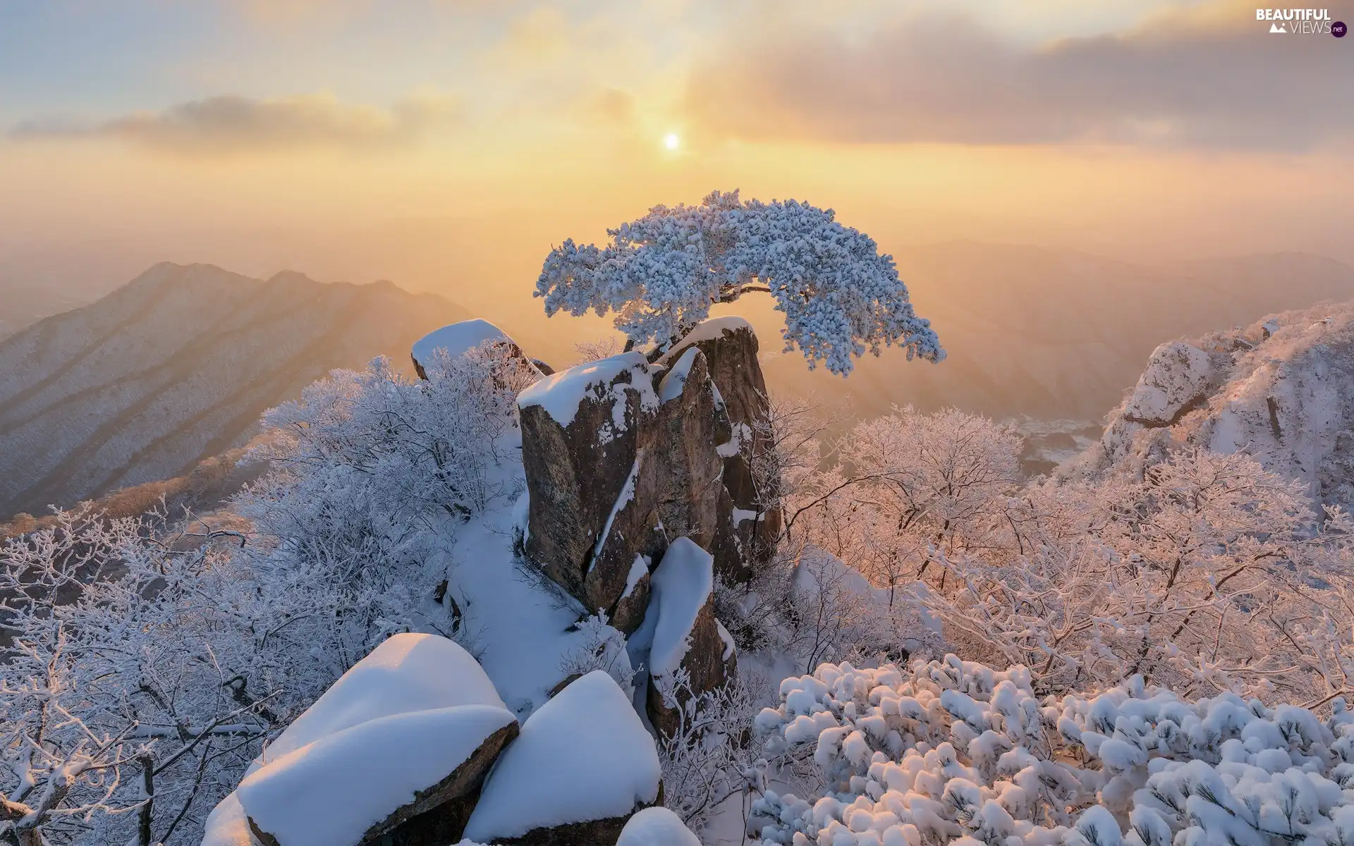 rocks, winter, trees, Snowy, pine, South Korea, North Jeolla Province, Mountains, Sunrise, Daedunsan Provincial Park, viewes