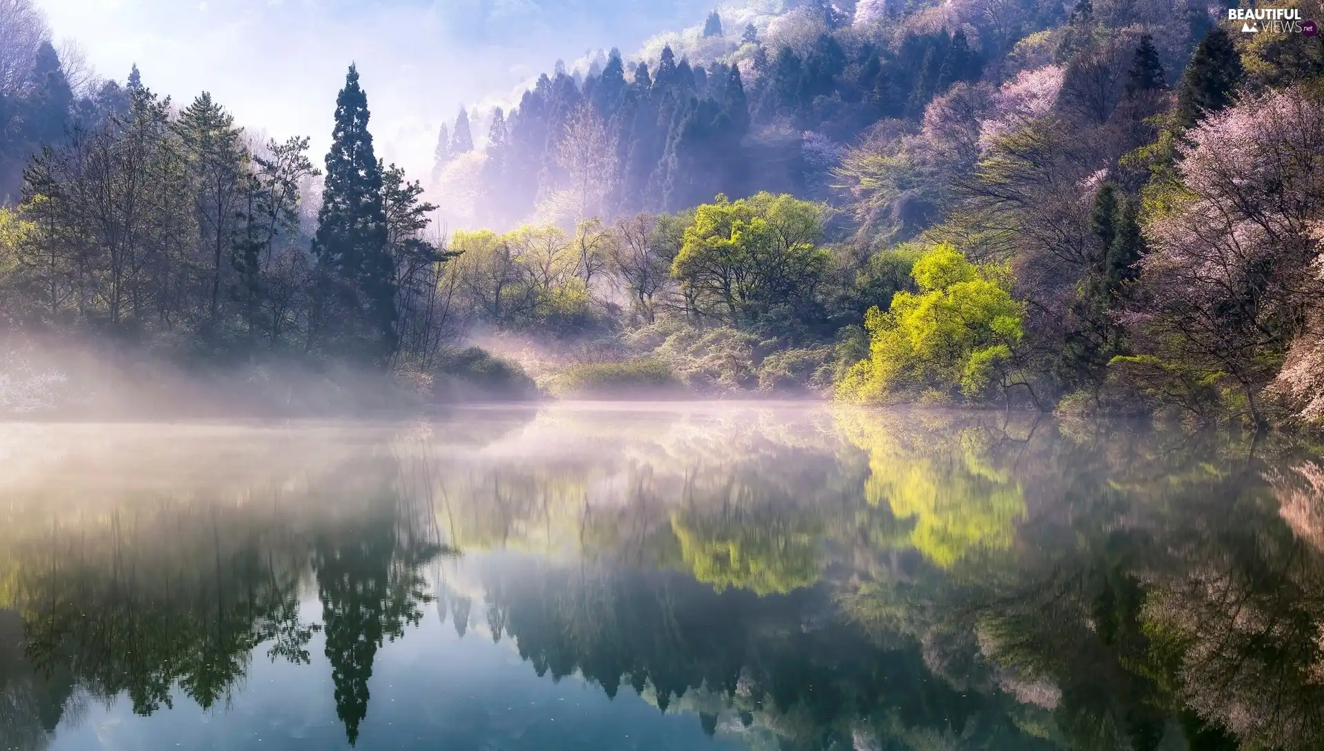 Mountains, trees, reflection, viewes, color, lake, South Korea