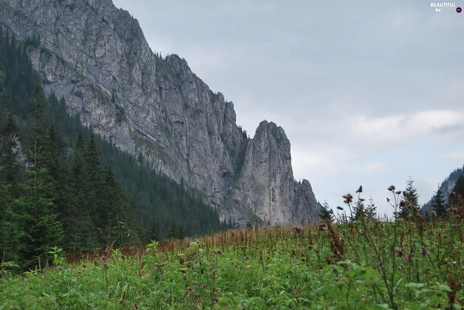 peaks, Tatras, Koscieliska Valley