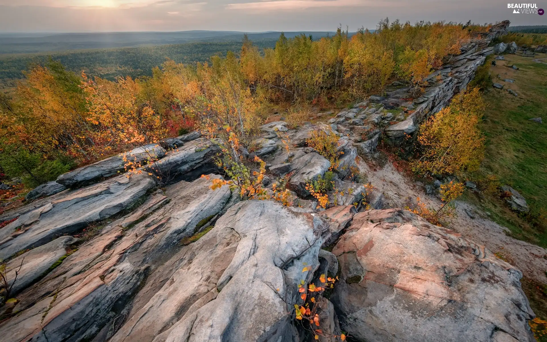 trees, autumn, Perm Krai, Russia, viewes, rocks