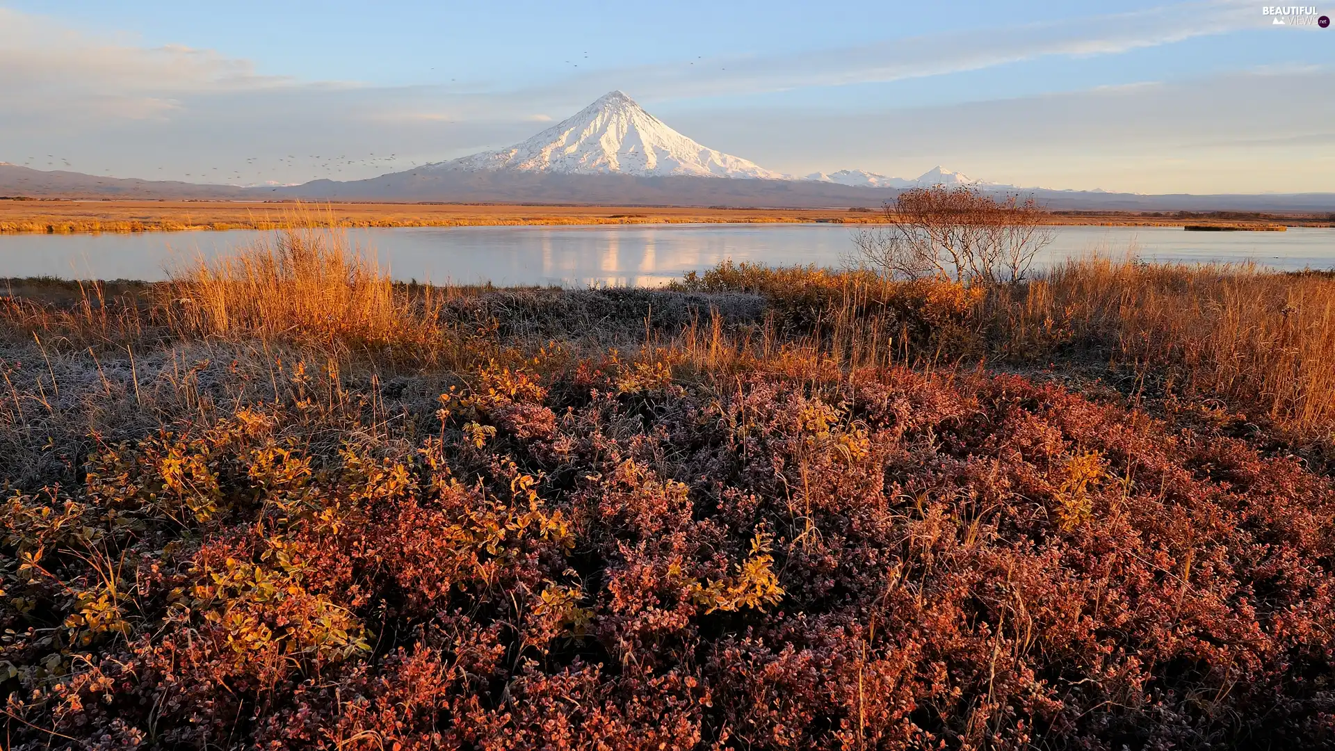 Kronocki Biosphere Reserve, Kronocki Lake, grass, mountains, autumn, Kamchatka, Russia, Stratovolcano Kronocka Sopka