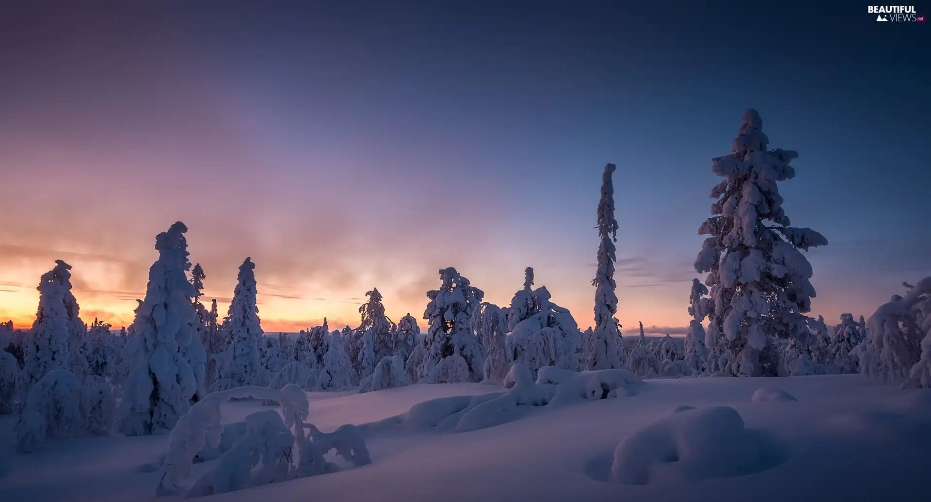 Kuertunturi Hill, winter, Great Sunsets, Snowy, viewes, Lapland, Finland, trees