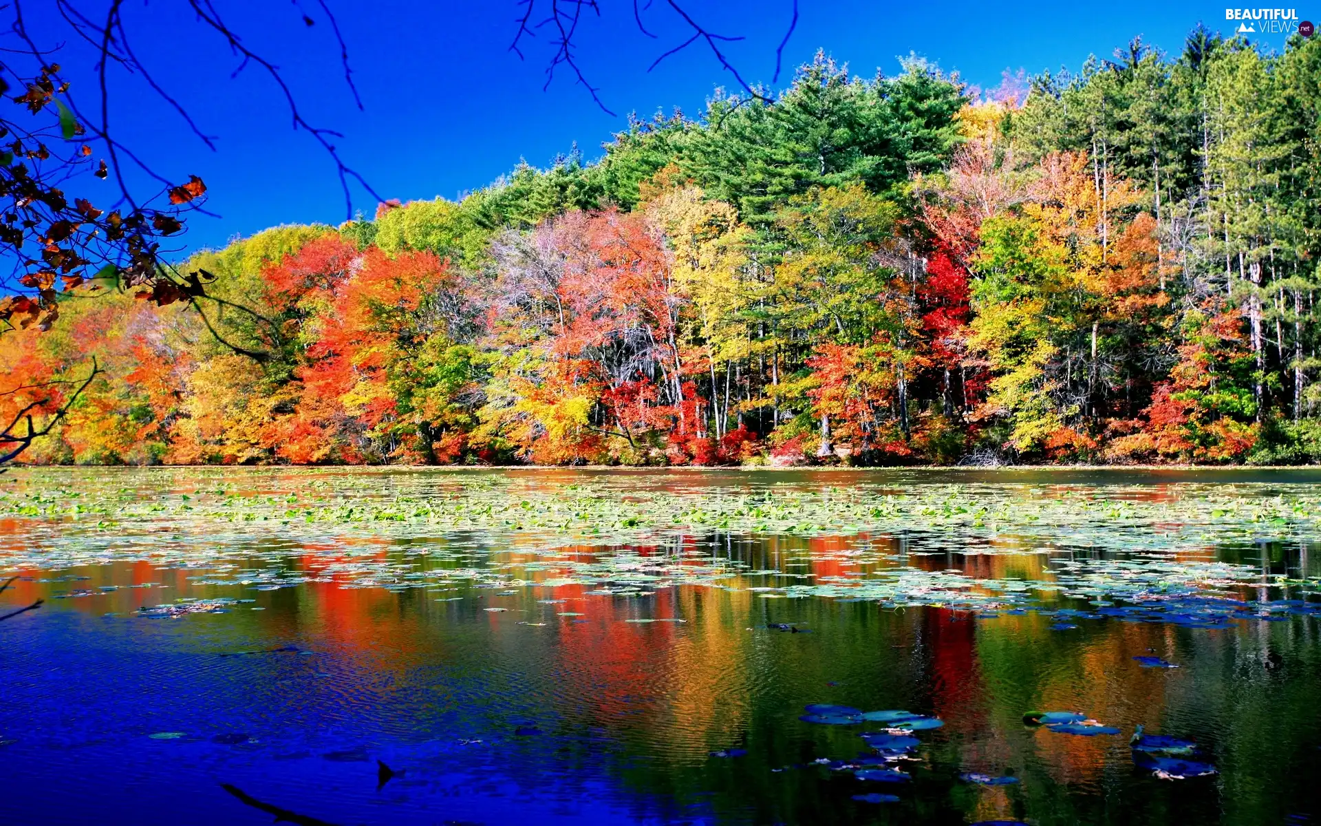 lake, Coloured, autumn