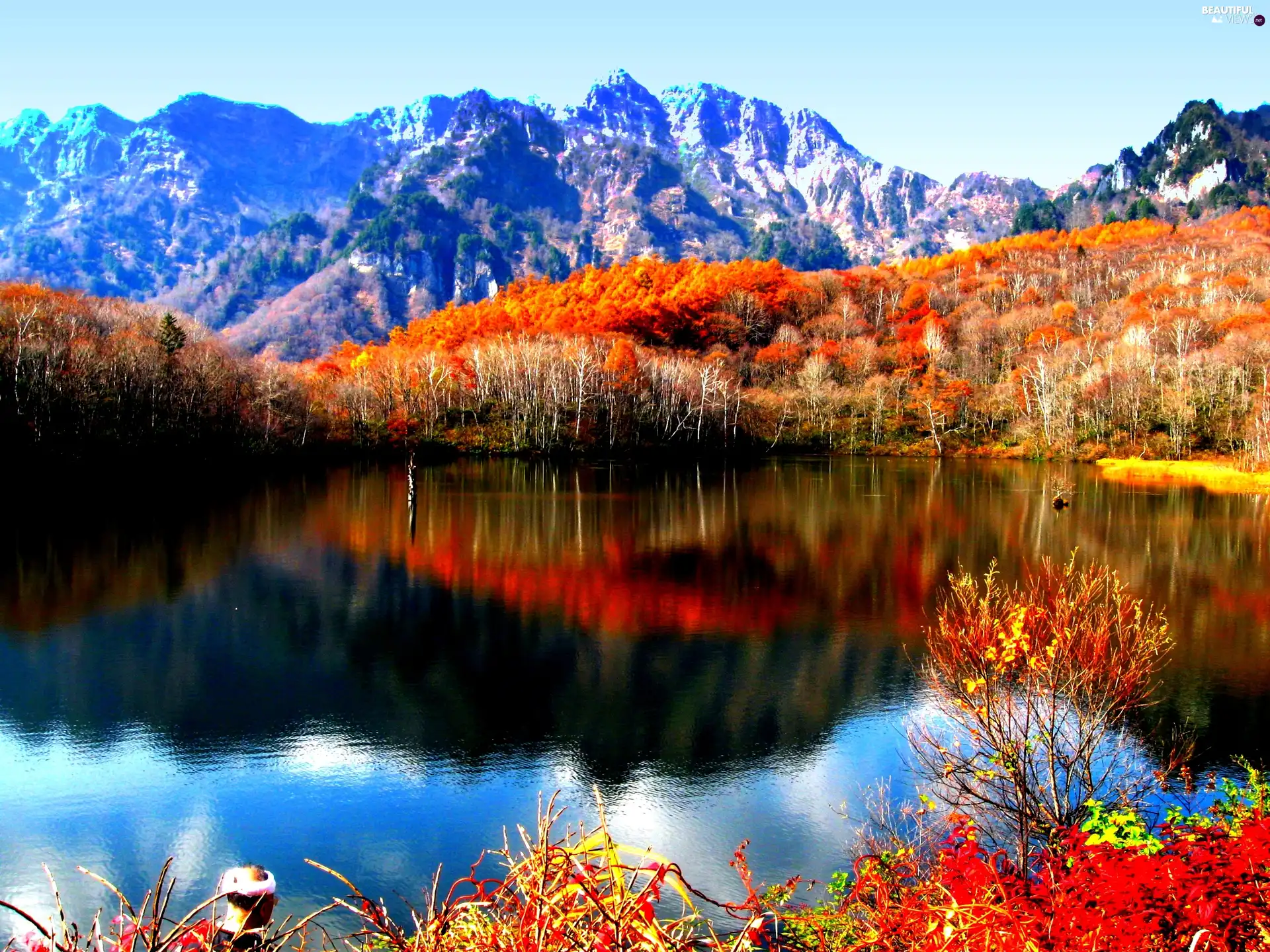trees, Mountains, lake, autumn, viewes, color
