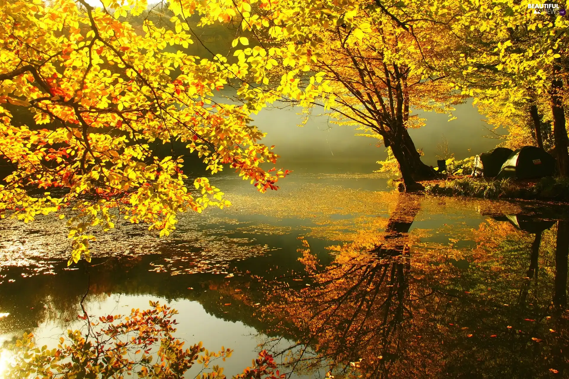 autumn, viewes, lake, trees