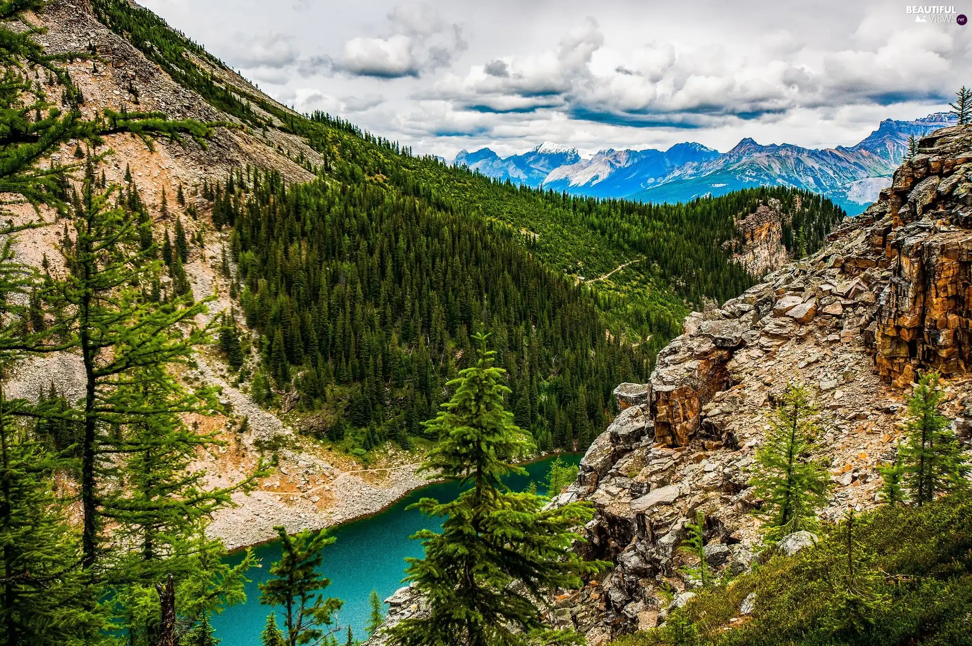 canyon, forest, Clouds, lake