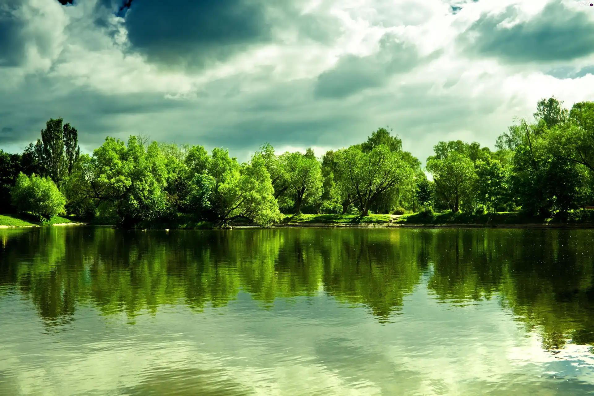 clouds, viewes, lake, trees