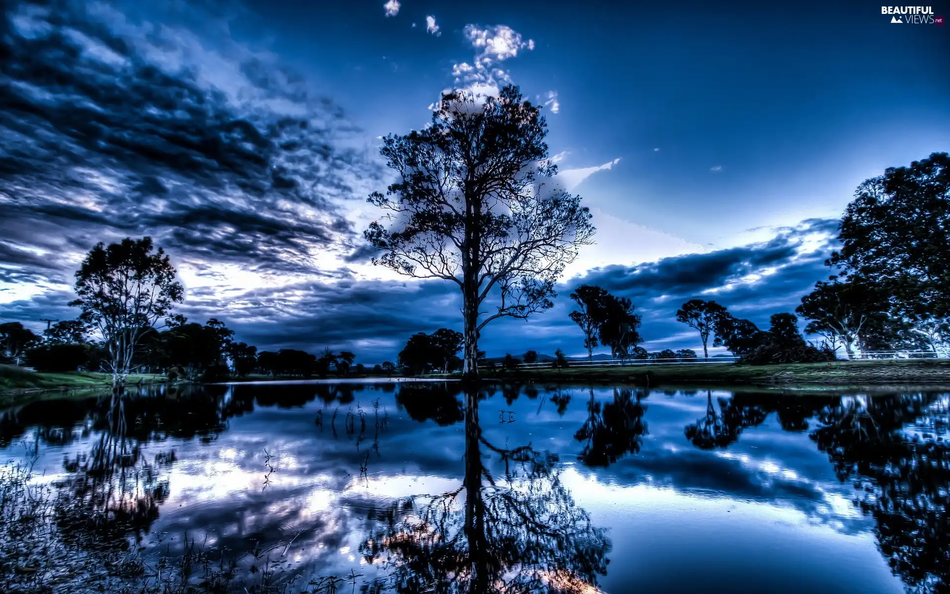 clouds, viewes, lake, trees