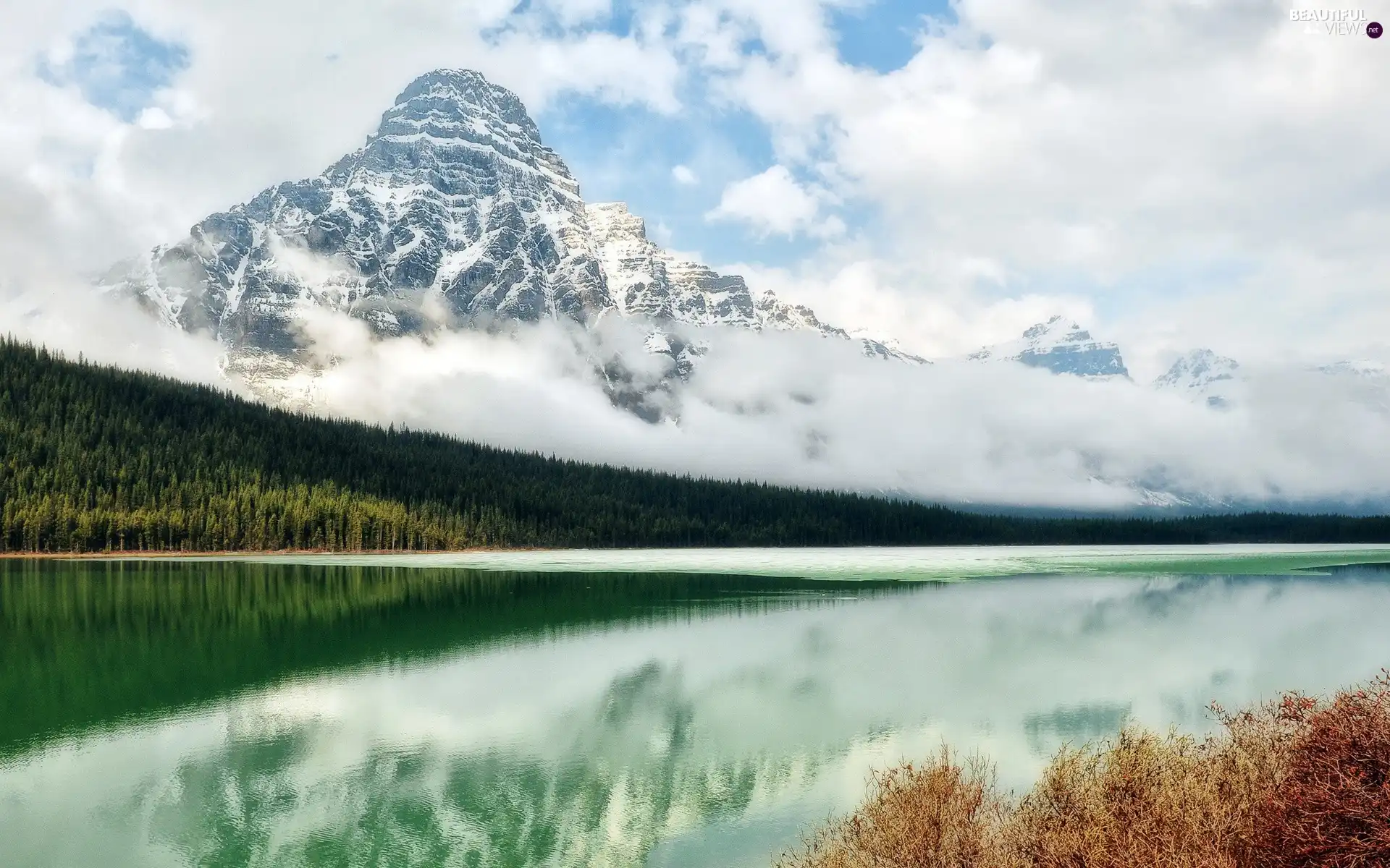 lake, forest, height, snow, mountains