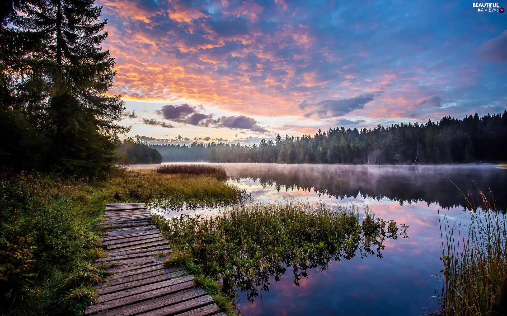 Fog, Sunrise, lake, wooden, viewes, VEGETATION, forest, trees, Platform