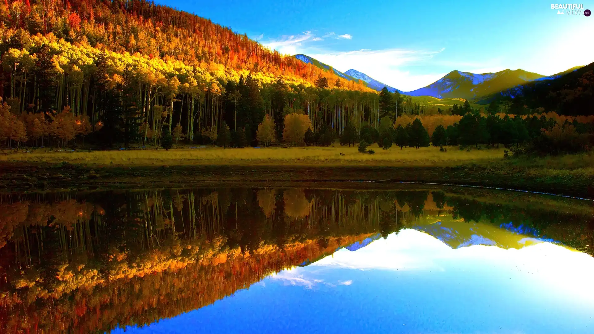 lake, Sky, forest