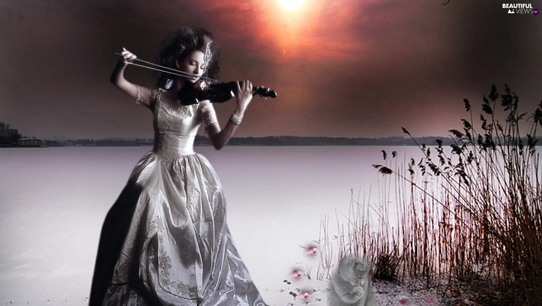 graphics, violin, lake, Women