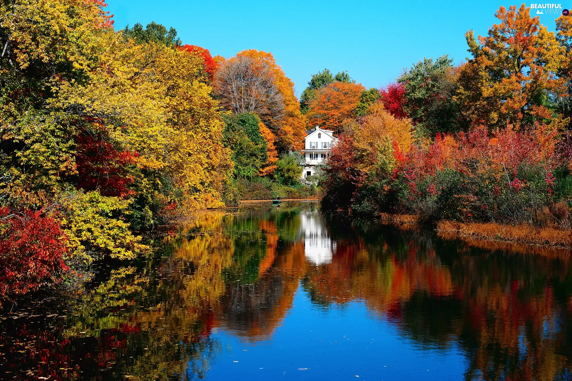 Home, forest, lake, autumn