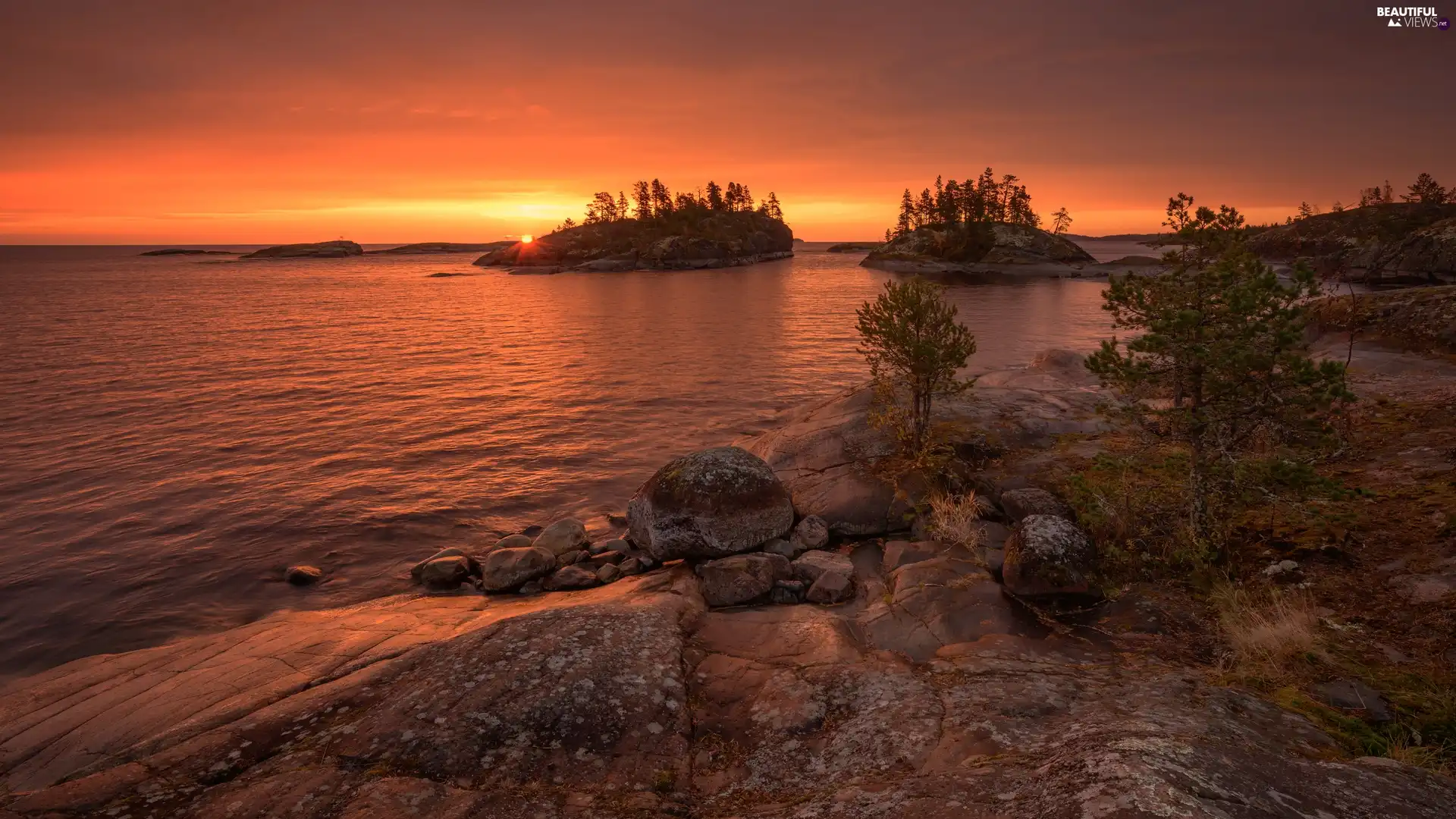 lake, Ladoga, rocks, trees, Great Sunsets, Karelia, Russia, viewes