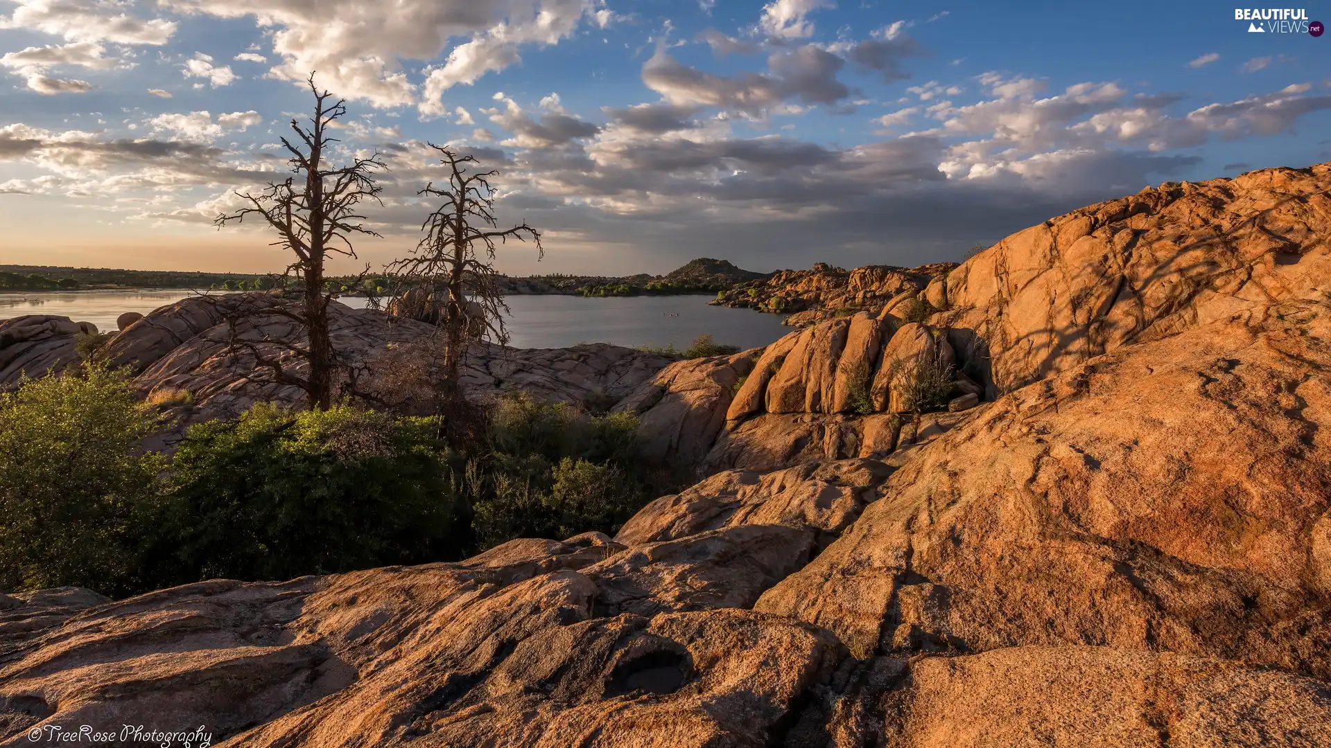 viewes, lake, leafless, trees, rocks