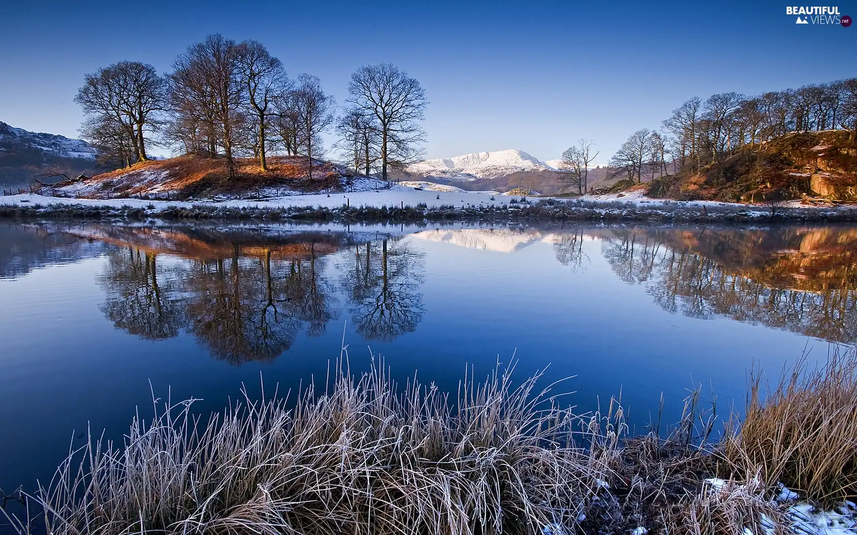 viewes, frosty, reflection, trees, winter, lake, Mirror