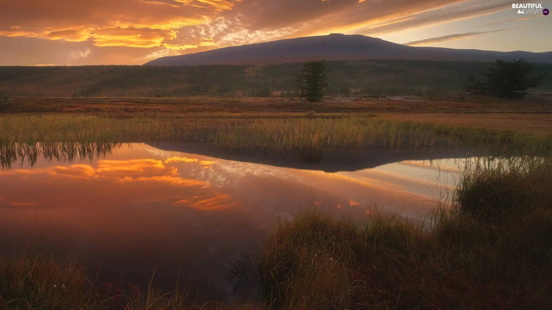 reflection, Great Sunsets, lake, grass, Mountains