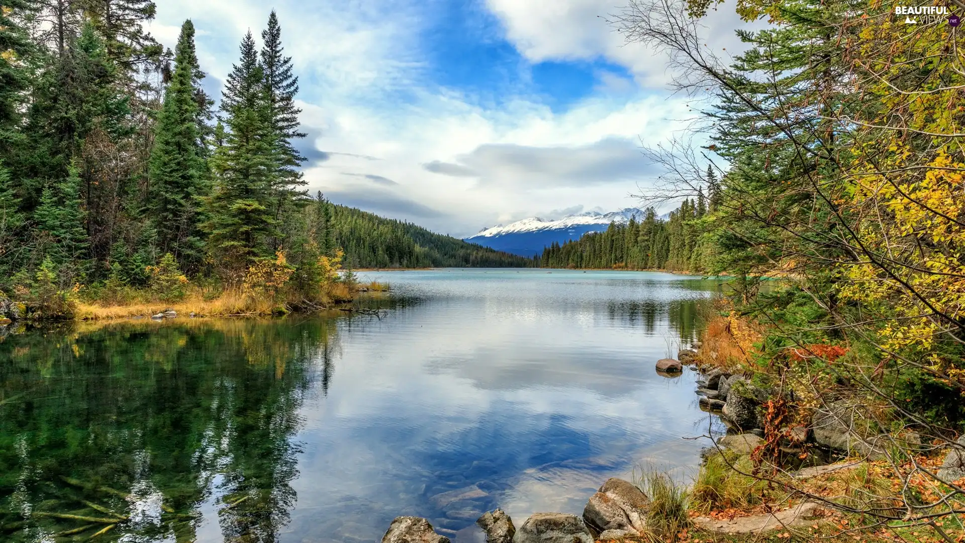 lake, trees, Canada, viewes, clouds, Mountains, Jasper National Park, forest