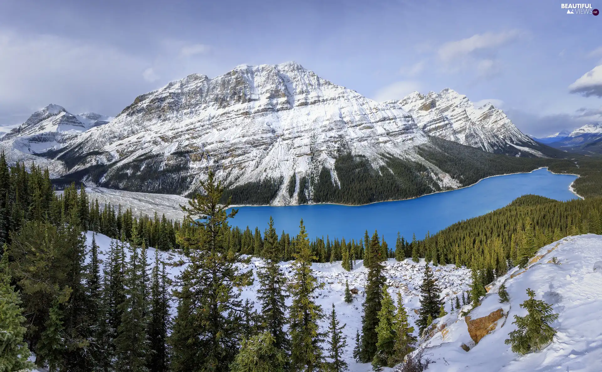 Banff National Park, Canada, Mountains, winter, Peyto Lake