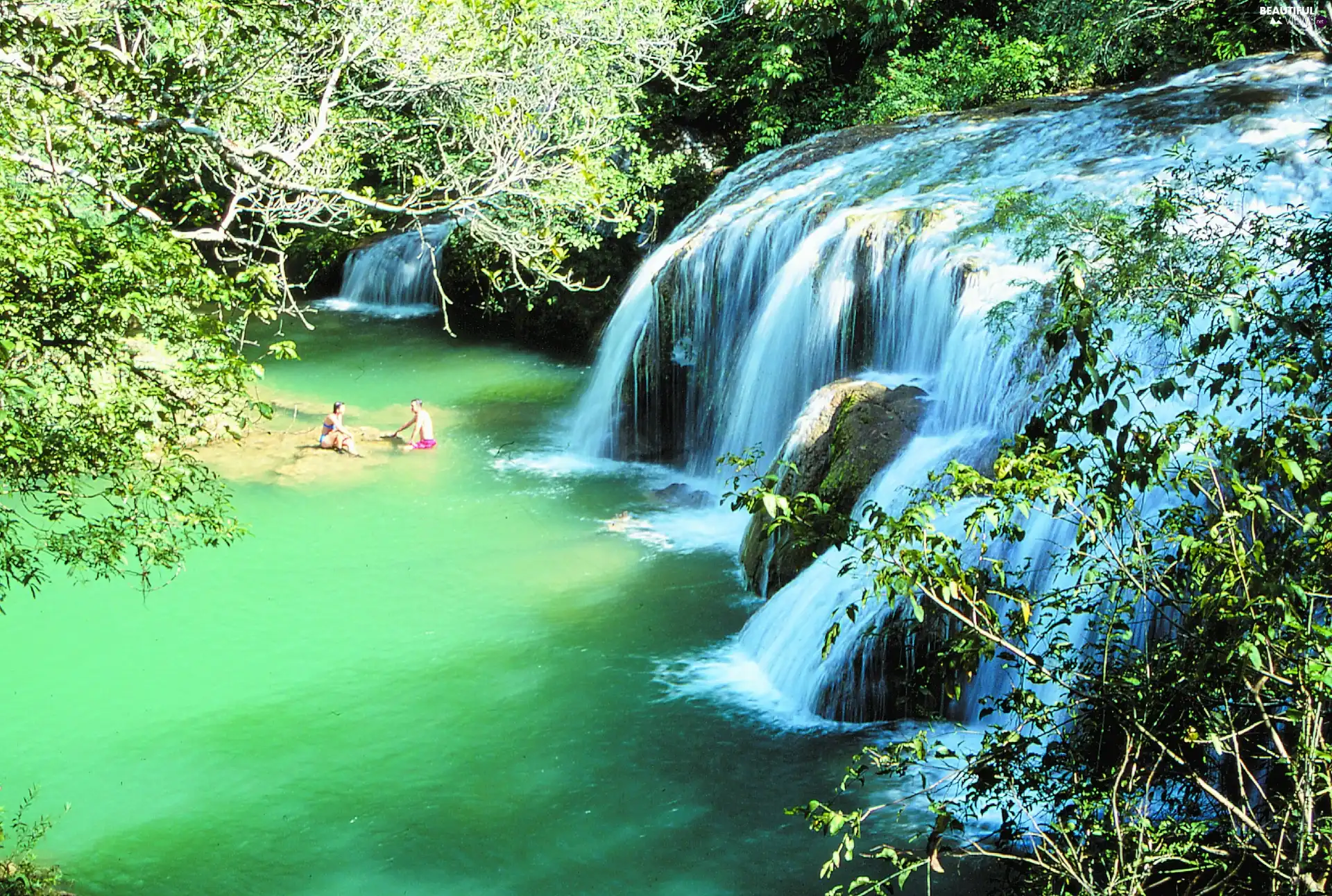 branch pics, waterfall, lake