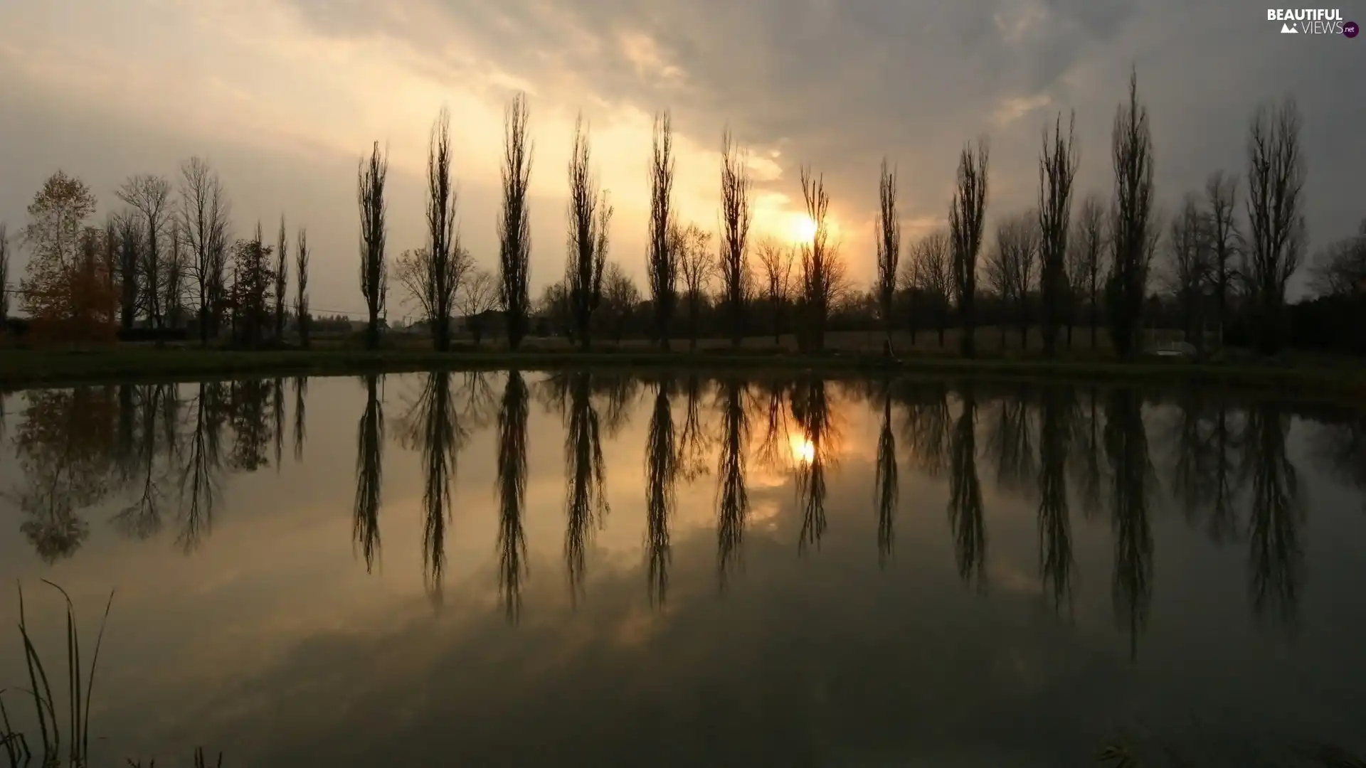 lake, reflection, trees, viewes, clouds