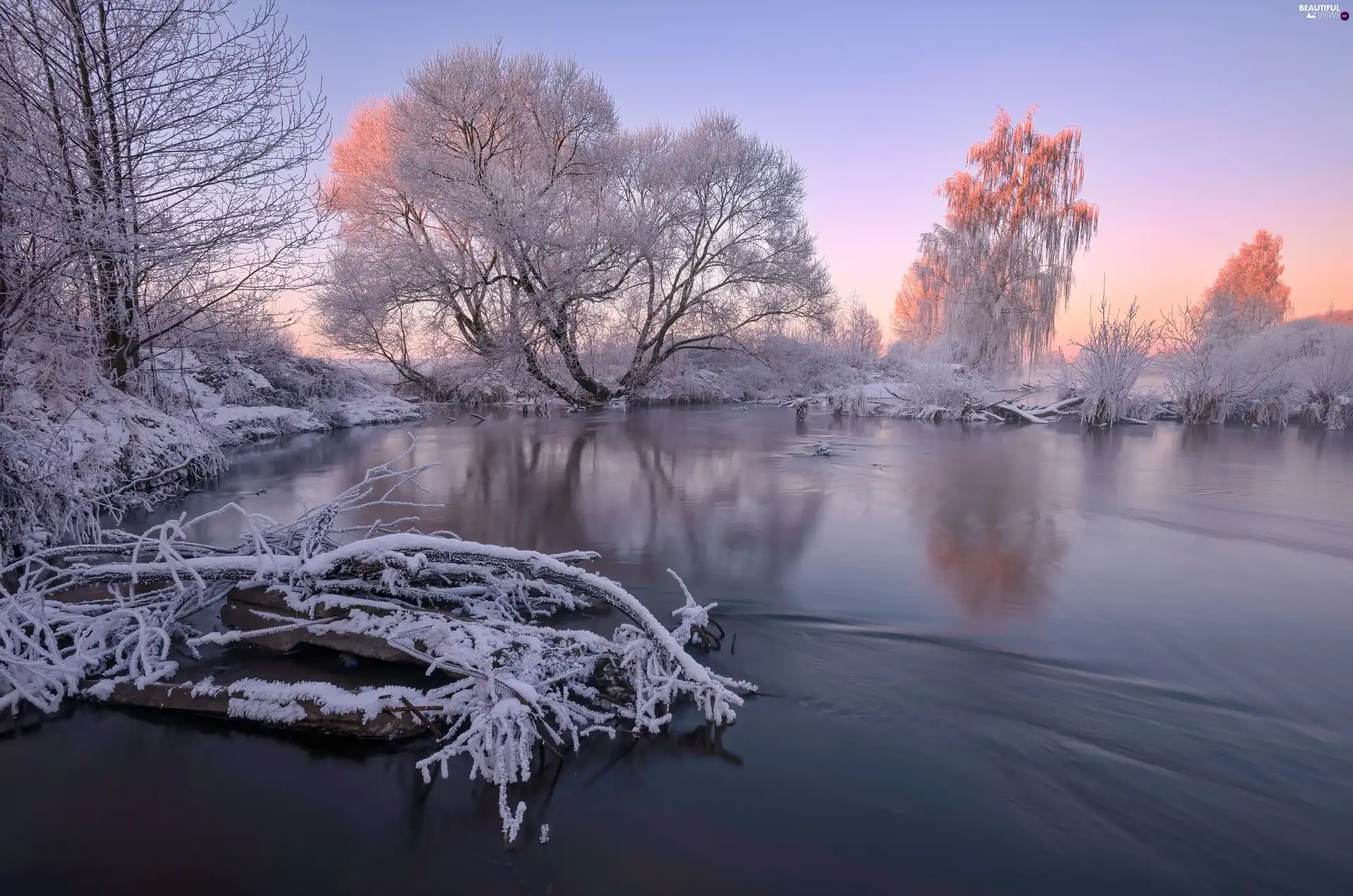 trees, winter, snow, lake, viewes, Snowy