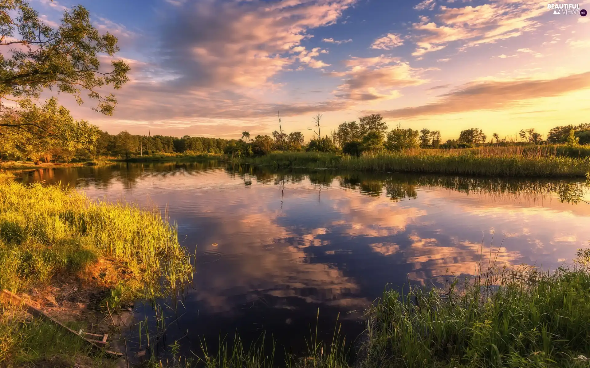 lake, trees, reflection, viewes, clouds, Great Sunsets, summer, grass