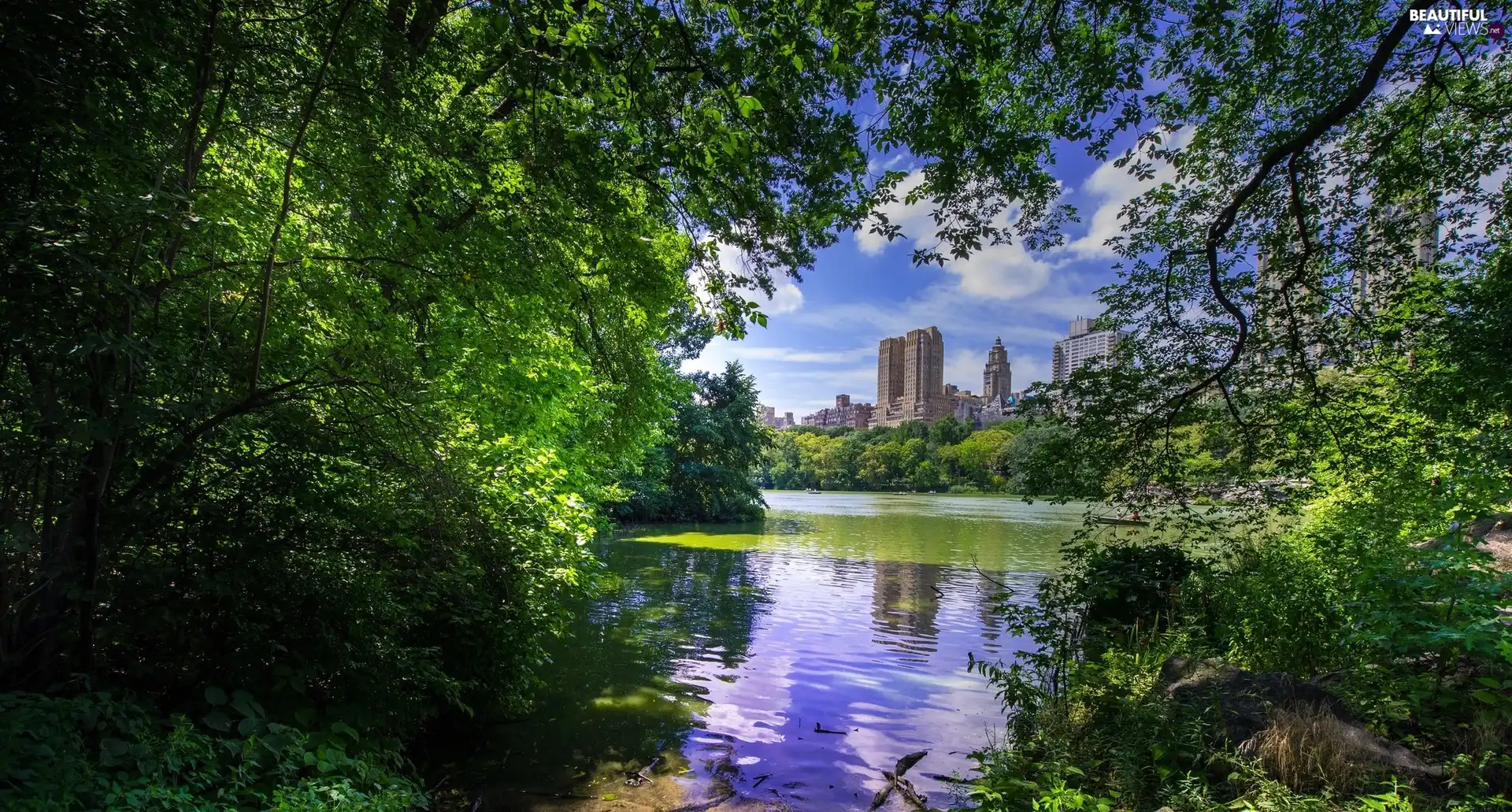 Manhattan District, City Park Central Park, viewes, lake, trees, New York, The United States, skyscraper