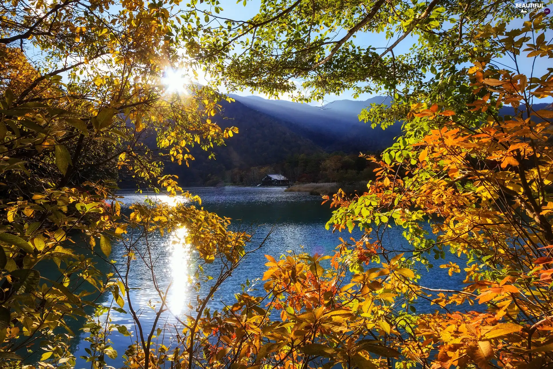 trees, Mountains, rays of the Sun, autumn, viewes, lake
