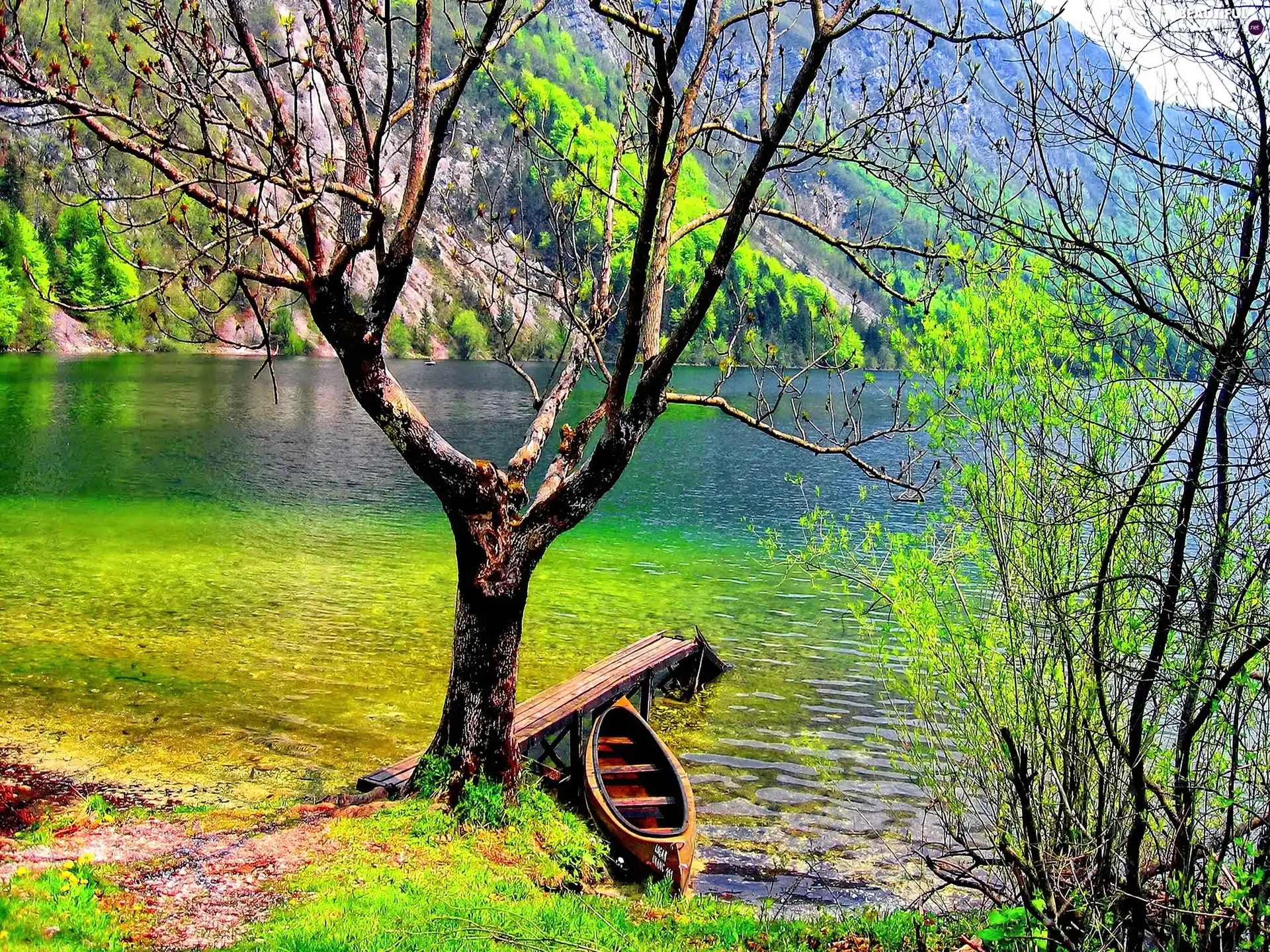 trees, Boat, lake, viewes