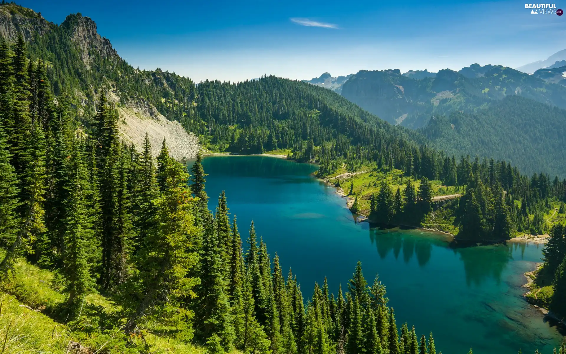 Spruces, lake, trees, viewes, Mountains