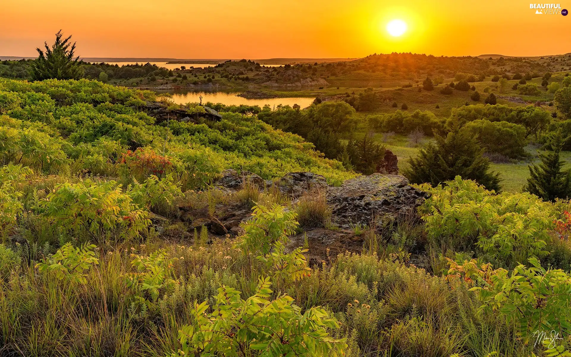 Bush, Meadow, viewes, VEGETATION, Great Sunsets, trees, lake