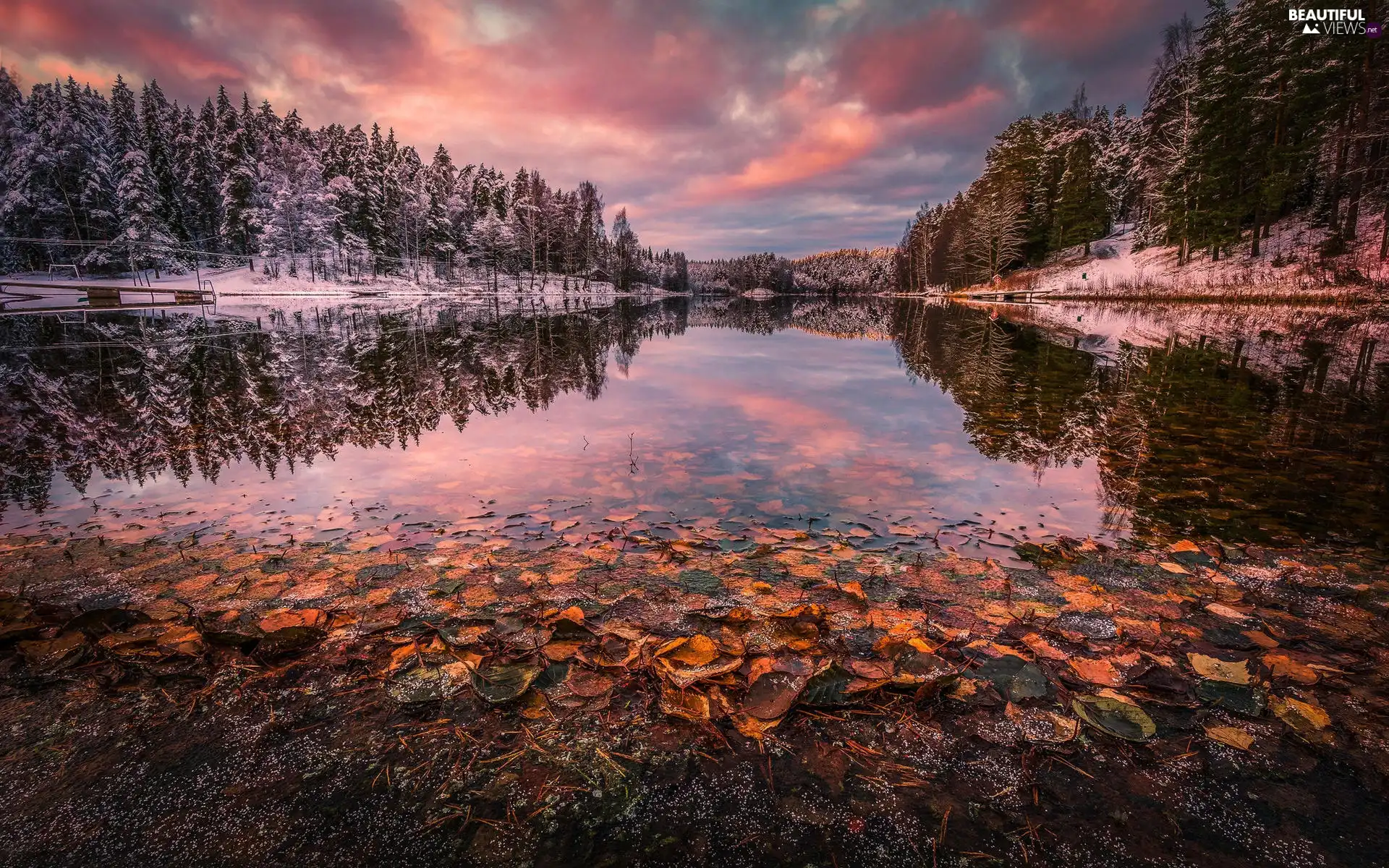 Snowy, Trees Lake, lake, Leaf, winter