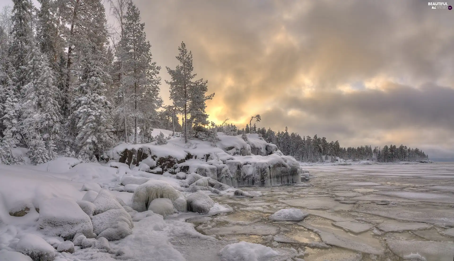 viewes, Great Sunsets, lake, trees, winter