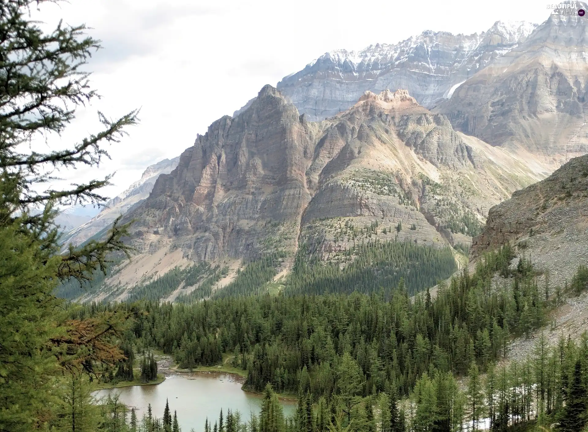 lake, Mountains, woods