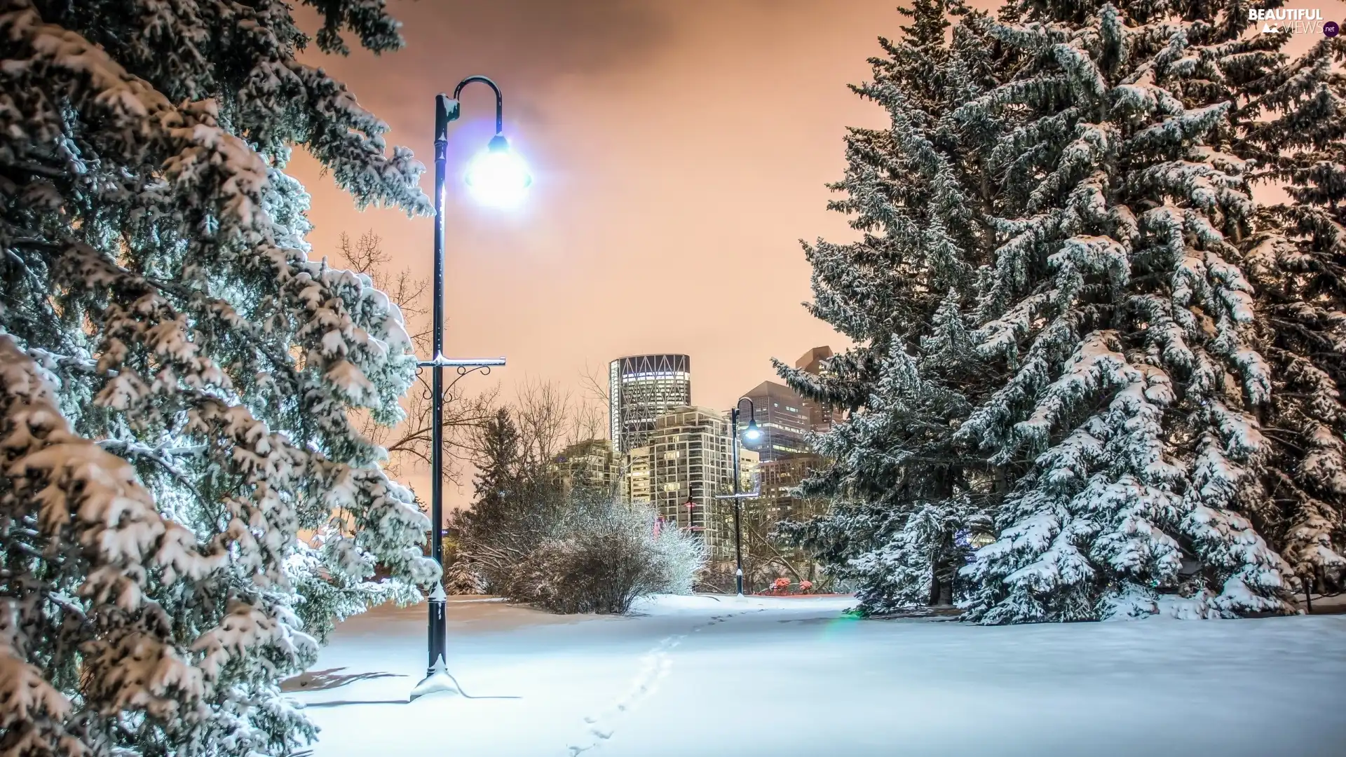 Lamp, winter, Park